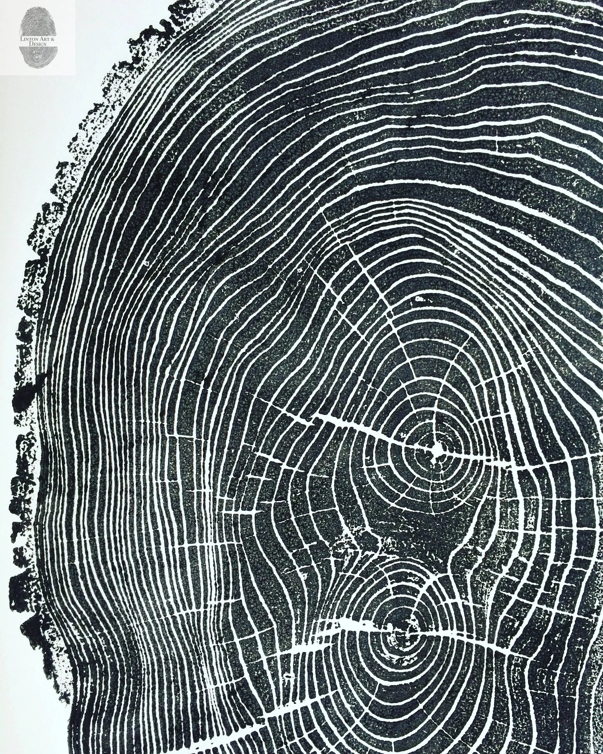 Ohio State, Ash Tree, Tree ring print, woodcut print, Lumber, Live edge, Biology Gifts, Arborist, Signed Original - 24x36 print