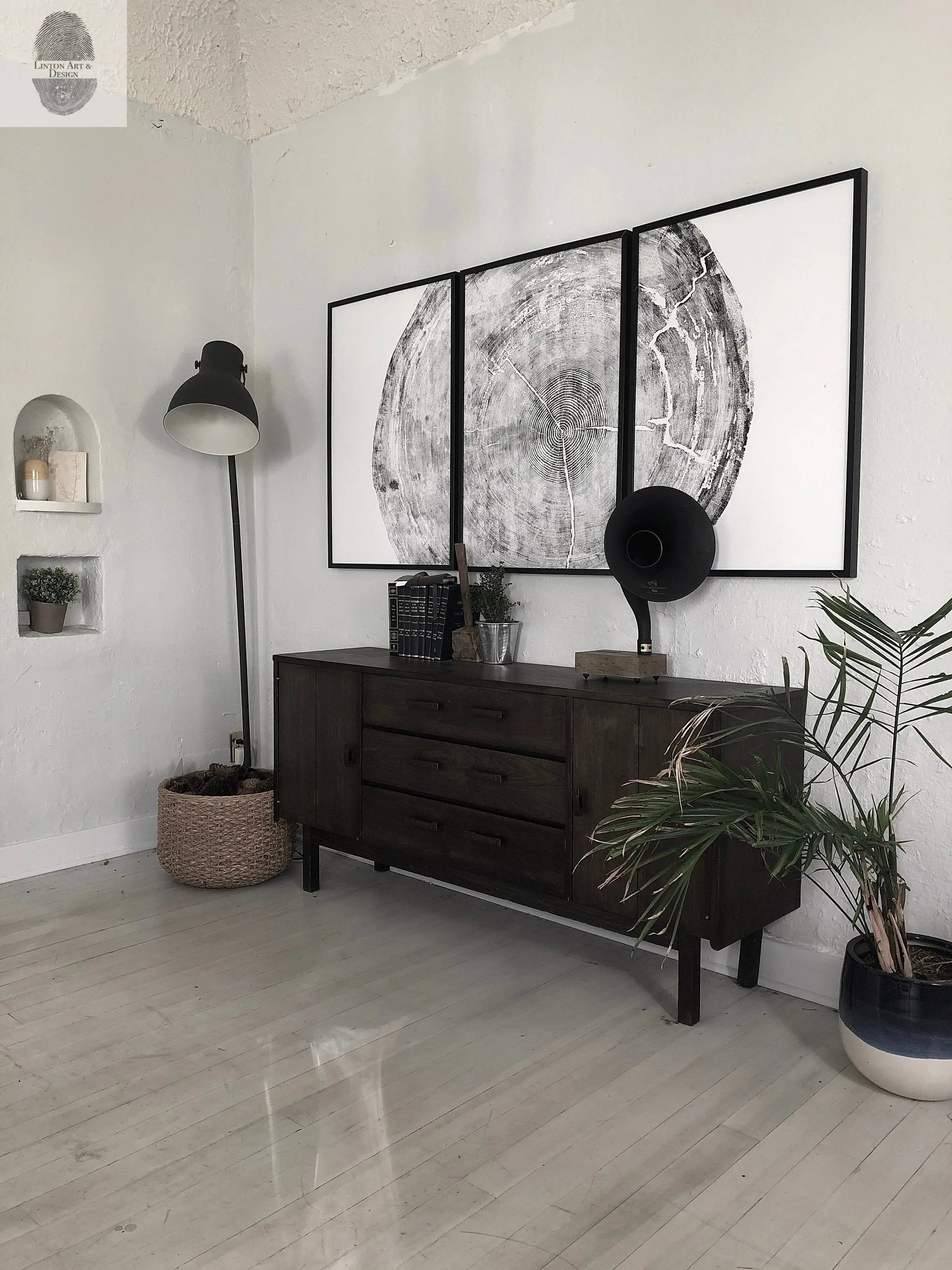 Oregon Coast Tree Ring Prints - Sitka Spruce Set of 3 - 24x36"