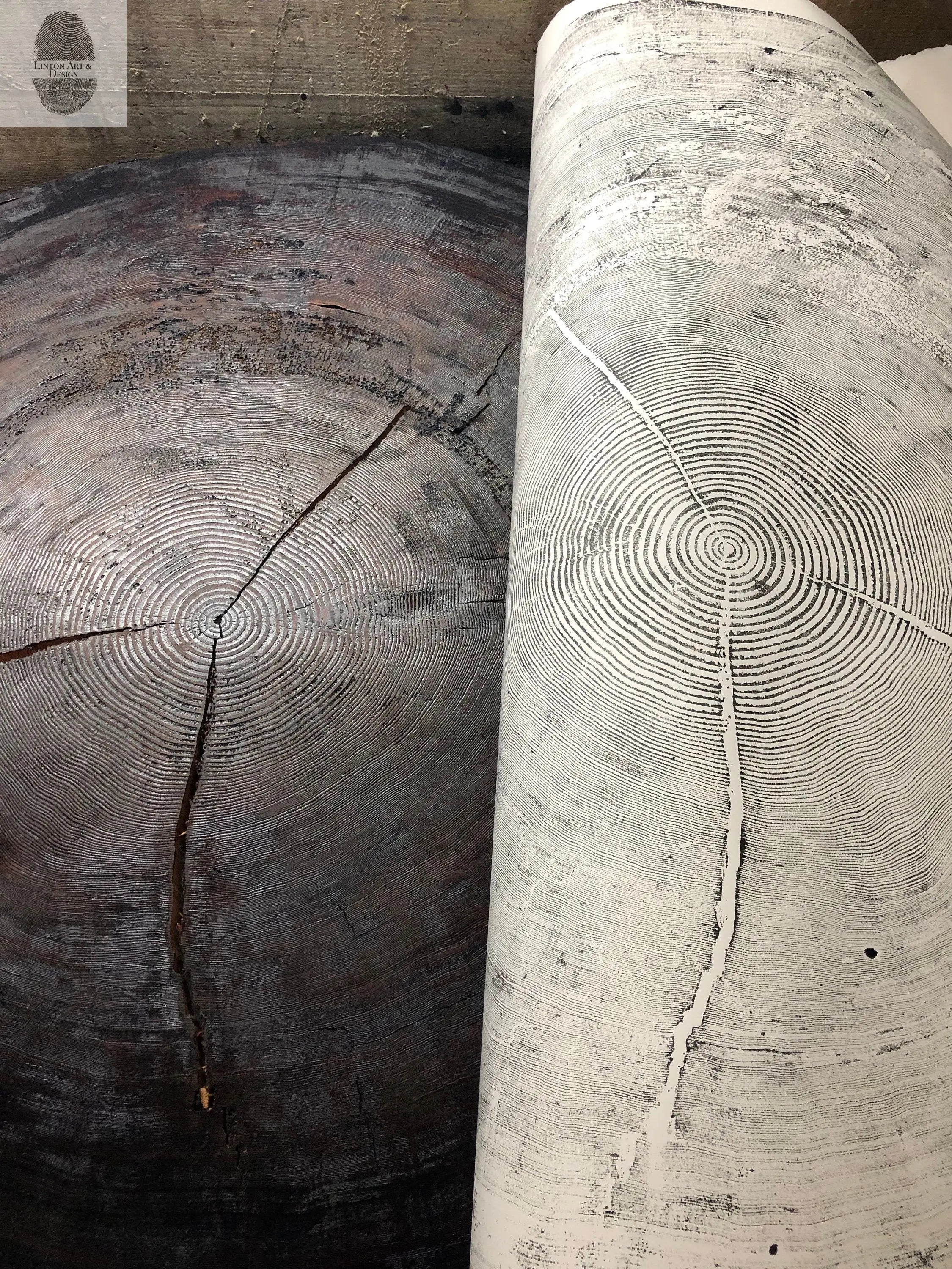 Oregon Coast Tree Ring Prints - Sitka Spruce Set of 3 - 24x36"