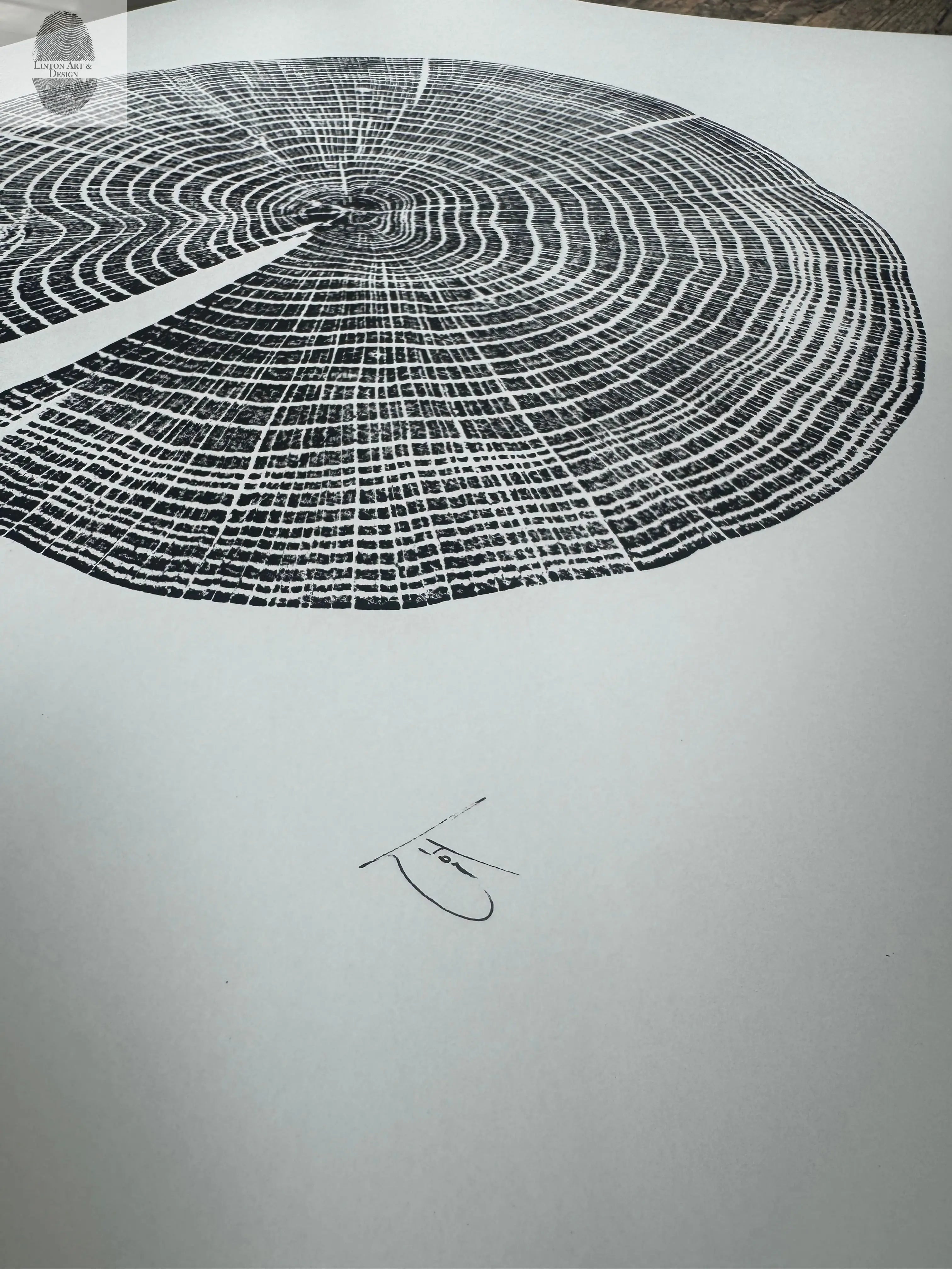 Red Oak Tree Ring Print – Spartanburg County, SC – 18x24 Original Signed Woodcut