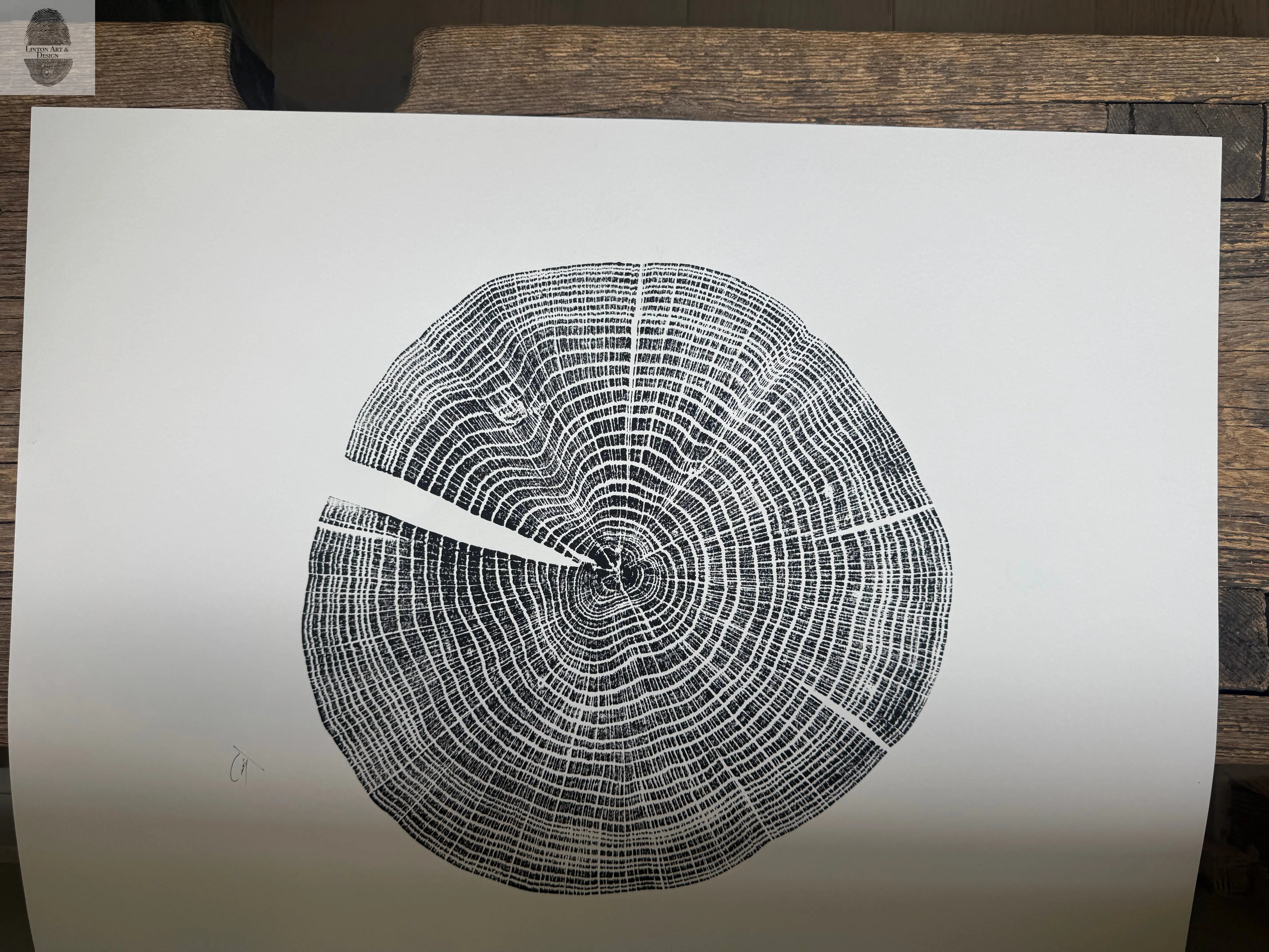 Red Oak Tree Ring Print – Spartanburg County, SC – 18x24 Original Signed Woodcut