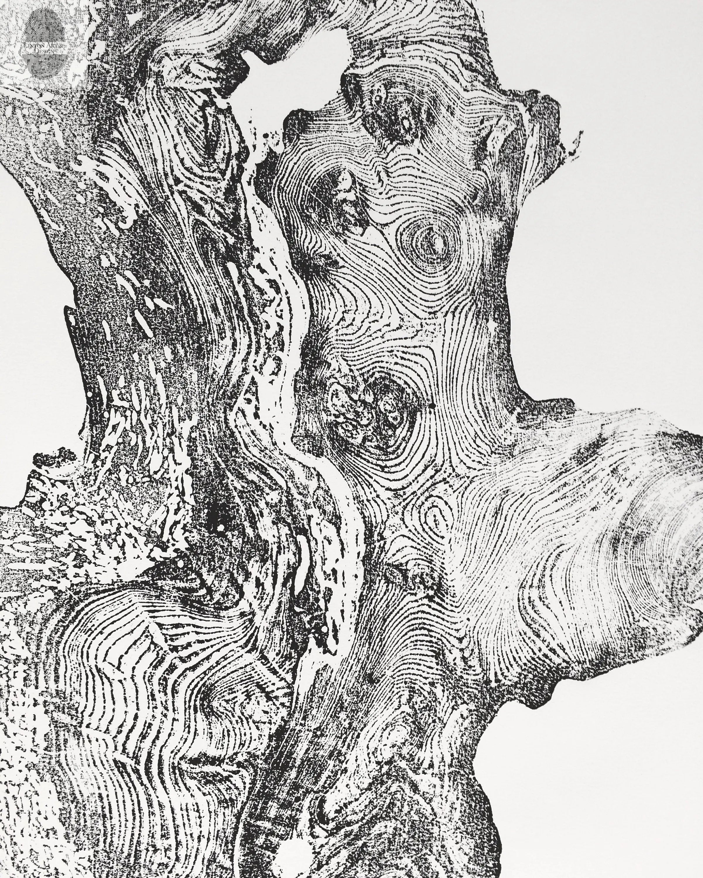 Redwood Burl, Tree Ring Print, Woodcut print, Tree of Life, , 24x36 print, Signed original Print