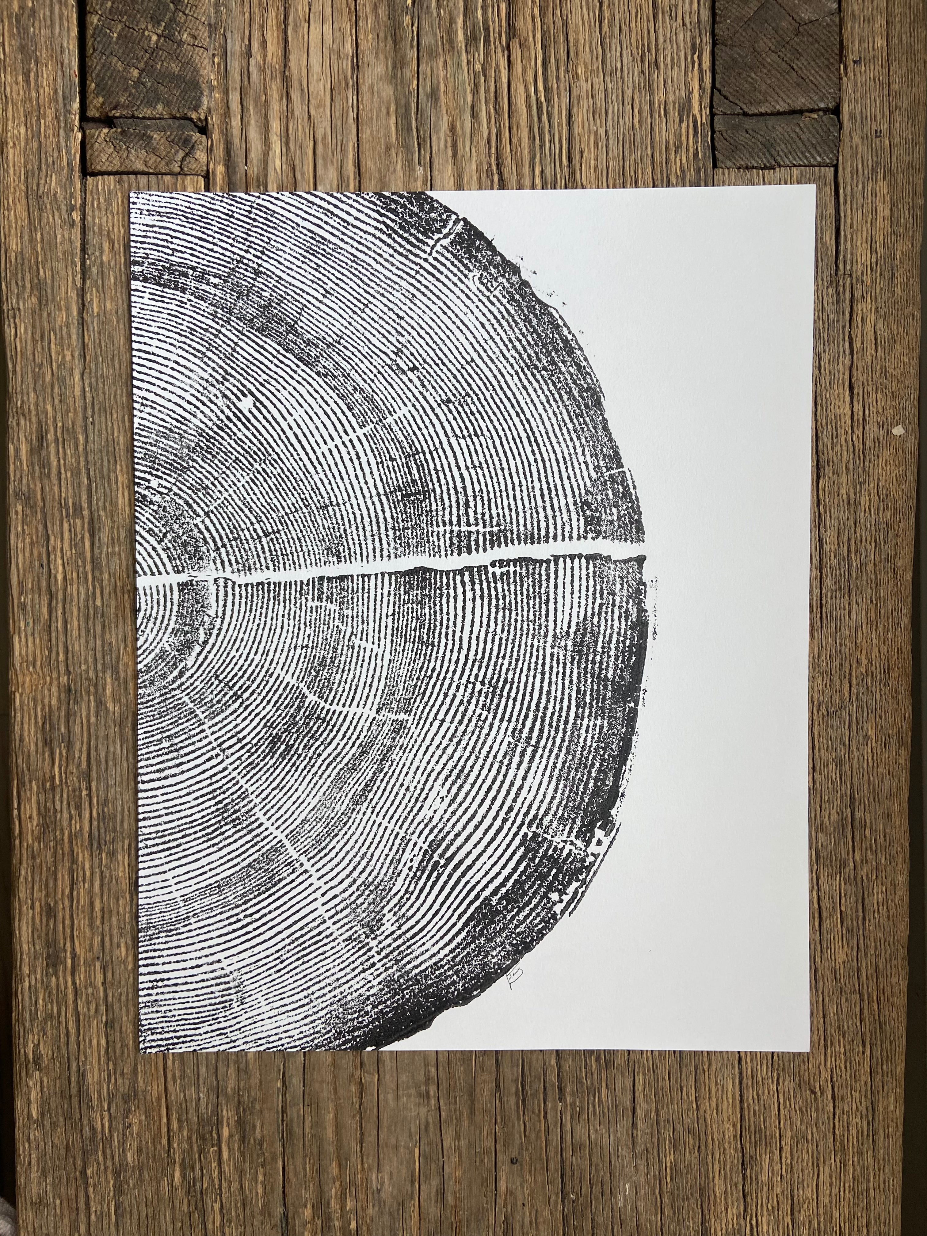 Rock Canyon Pine, Cropped, Limited Edition 11x14 inches. Hand pressed and signed.