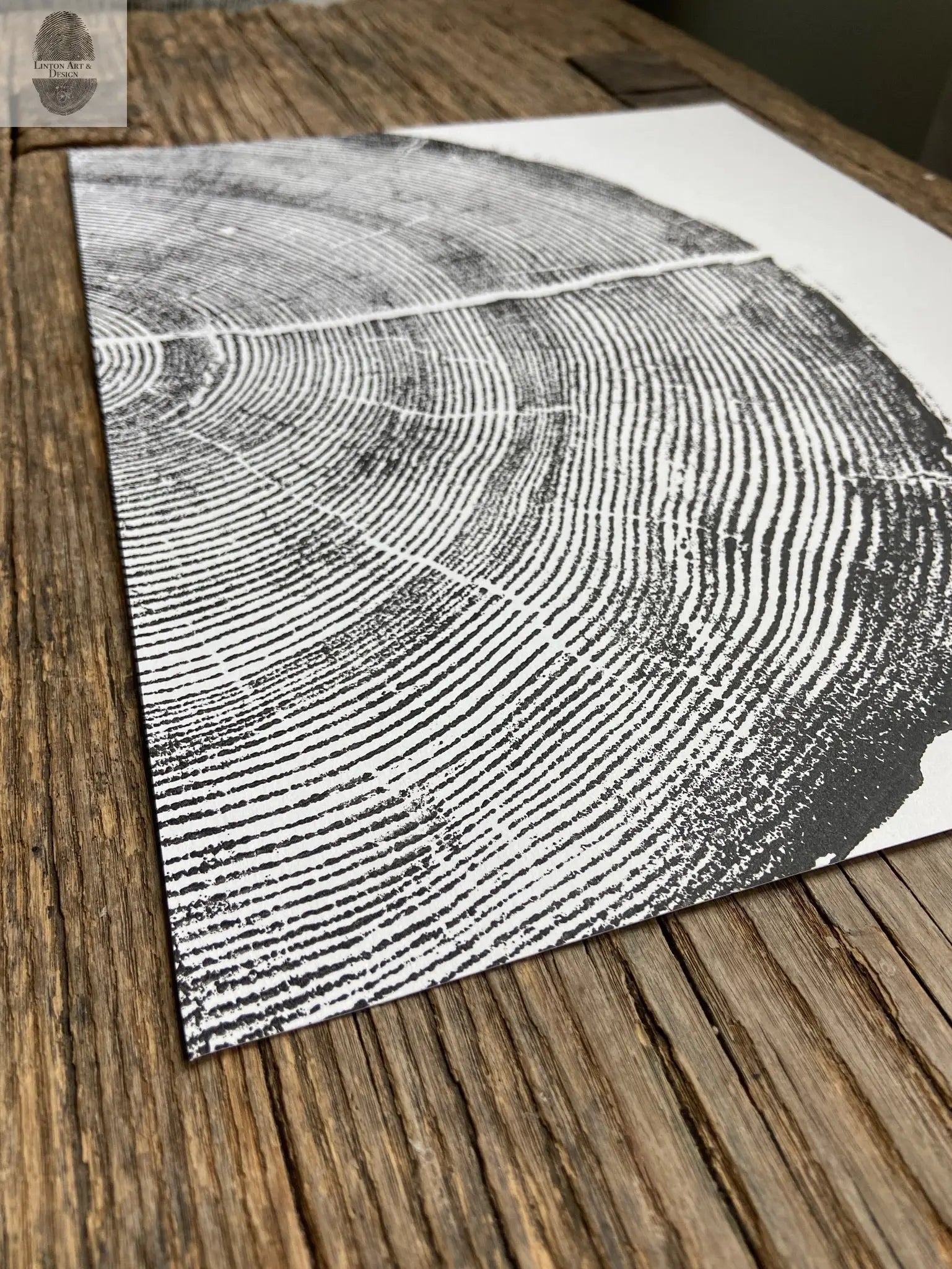 Rock Canyon Pine, Cropped, Limited Edition 11x14 inches. Hand pressed and signed.