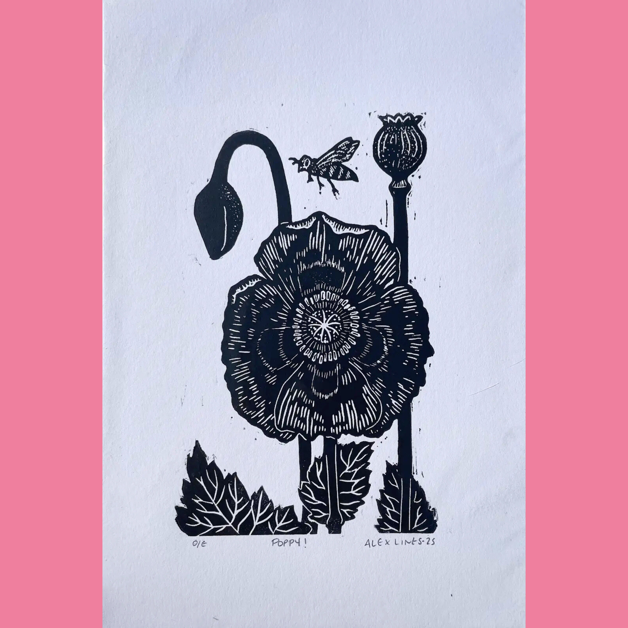 A black-and-white linocut print depicts a large blooming poppy flower with intricate petal details and a prominent central seed head, accompanied by a curved poppy bud on one side, a closed seed pod on a tall stem on the other, and a small bee in flight nearby, all rising from stylized leafy bases. The artwork is printed on white paper with the title "POPPY!" (or "POPPY !"), the number "016," and the signature "ALEX LINES '25" written below, surrounded by a bright pink border.