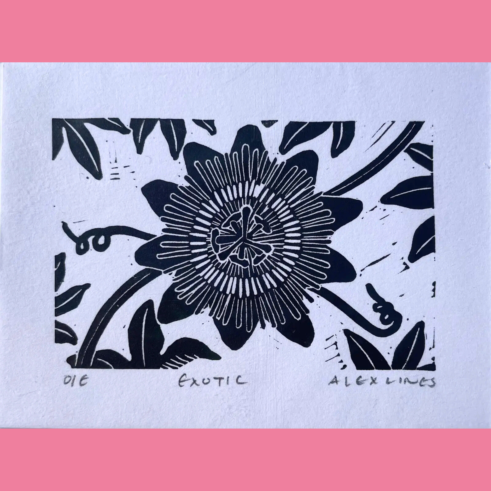 A black-and-white linocut print features a large, detailed passionflower with radiating petals, intricate stamens, and a prominent central corona, surrounded by flowing stems and broad leaves in a bold, graphic style. The artwork is printed on white paper with the title "EXOTIC," the number "01E," and the signature "ALEX LINES" written below, framed by a bright pink border.