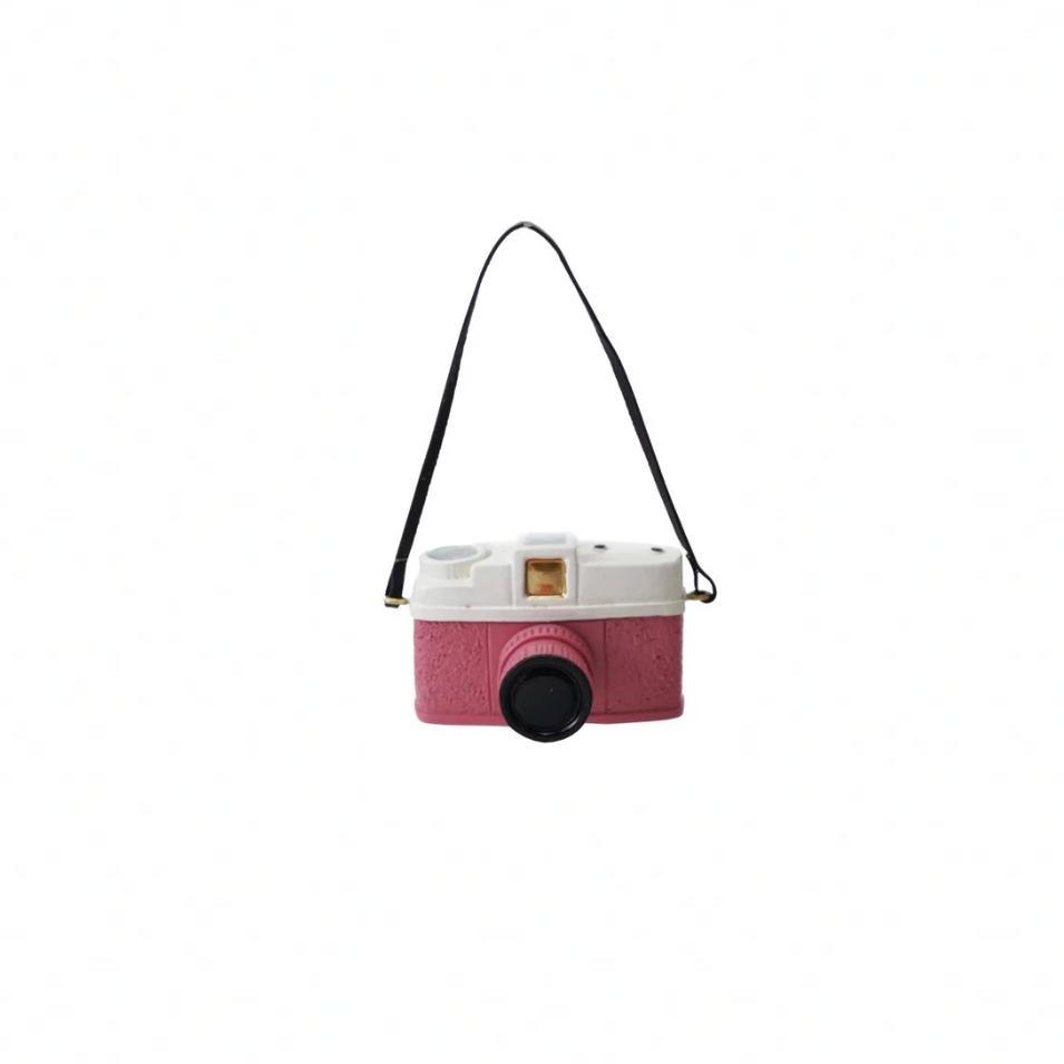 Pink camera-shaped birdhouse with a black strap on a white background