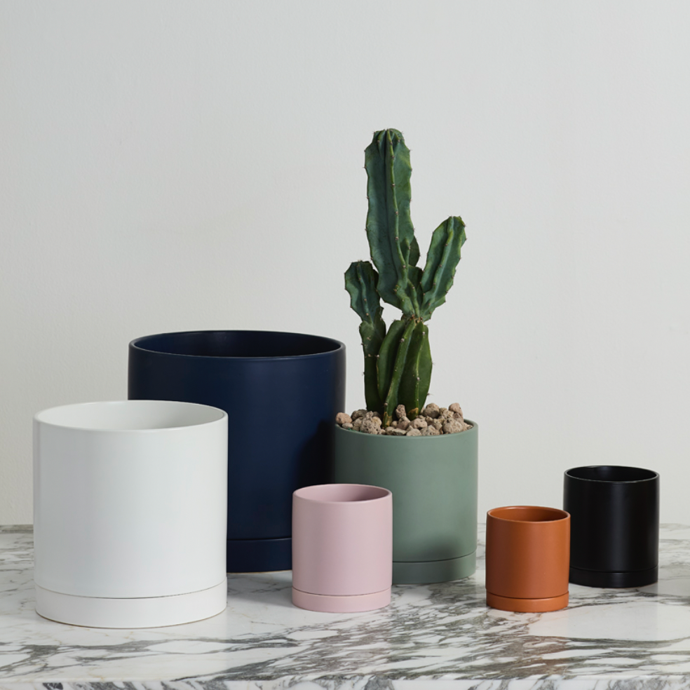 Set of colorful plant pots with a cactus on a marble surface