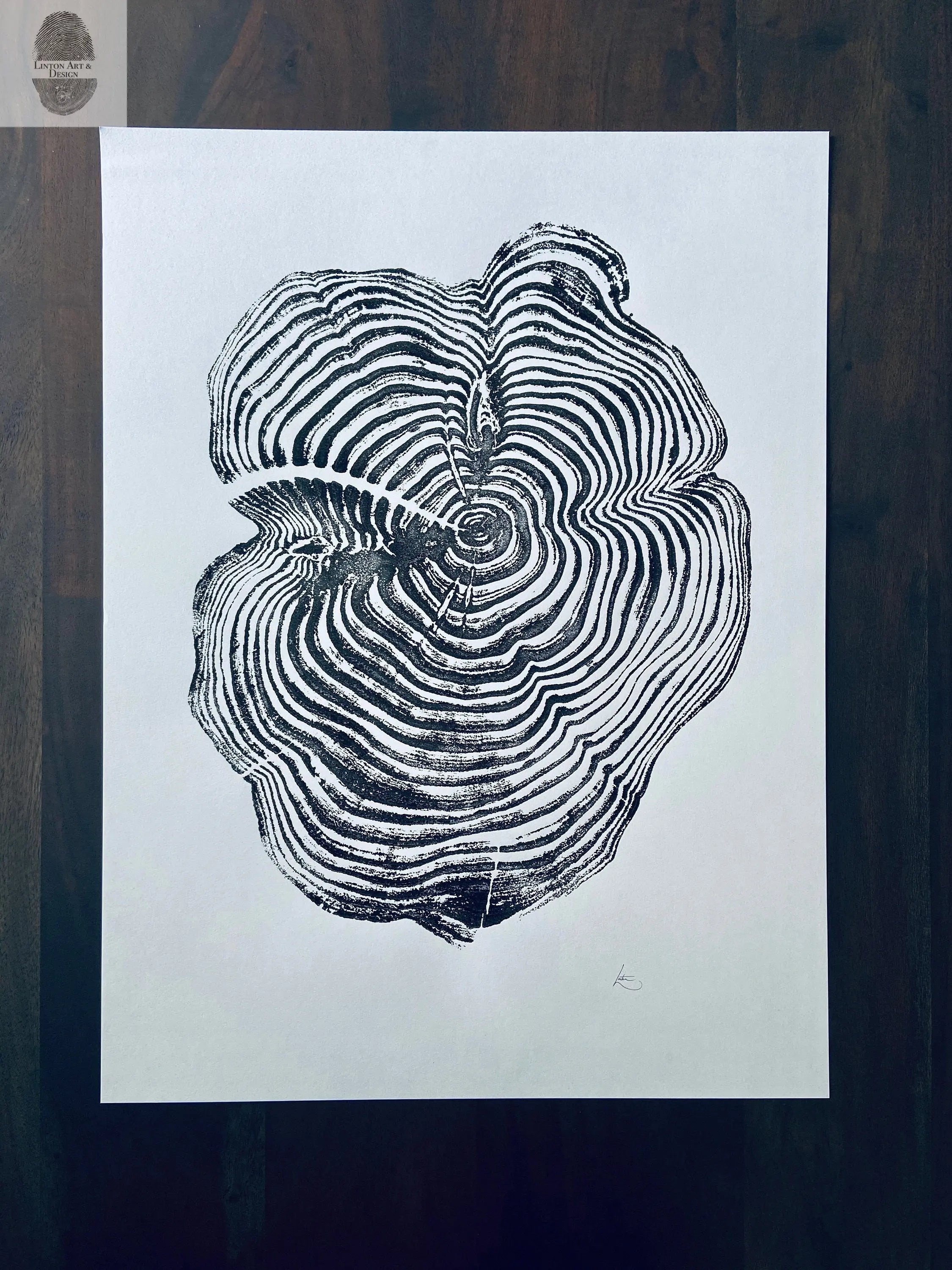 Sequoia National Park and Kings Canyon, California Sequoia - 18x24 print