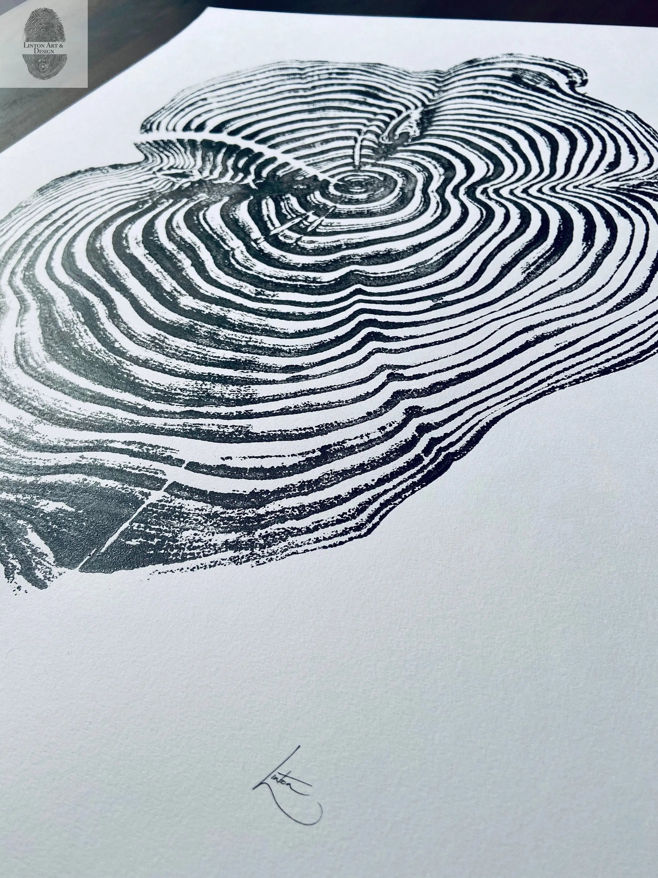 Sequoia National Park and Kings Canyon, California Sequoia - 18x24 print