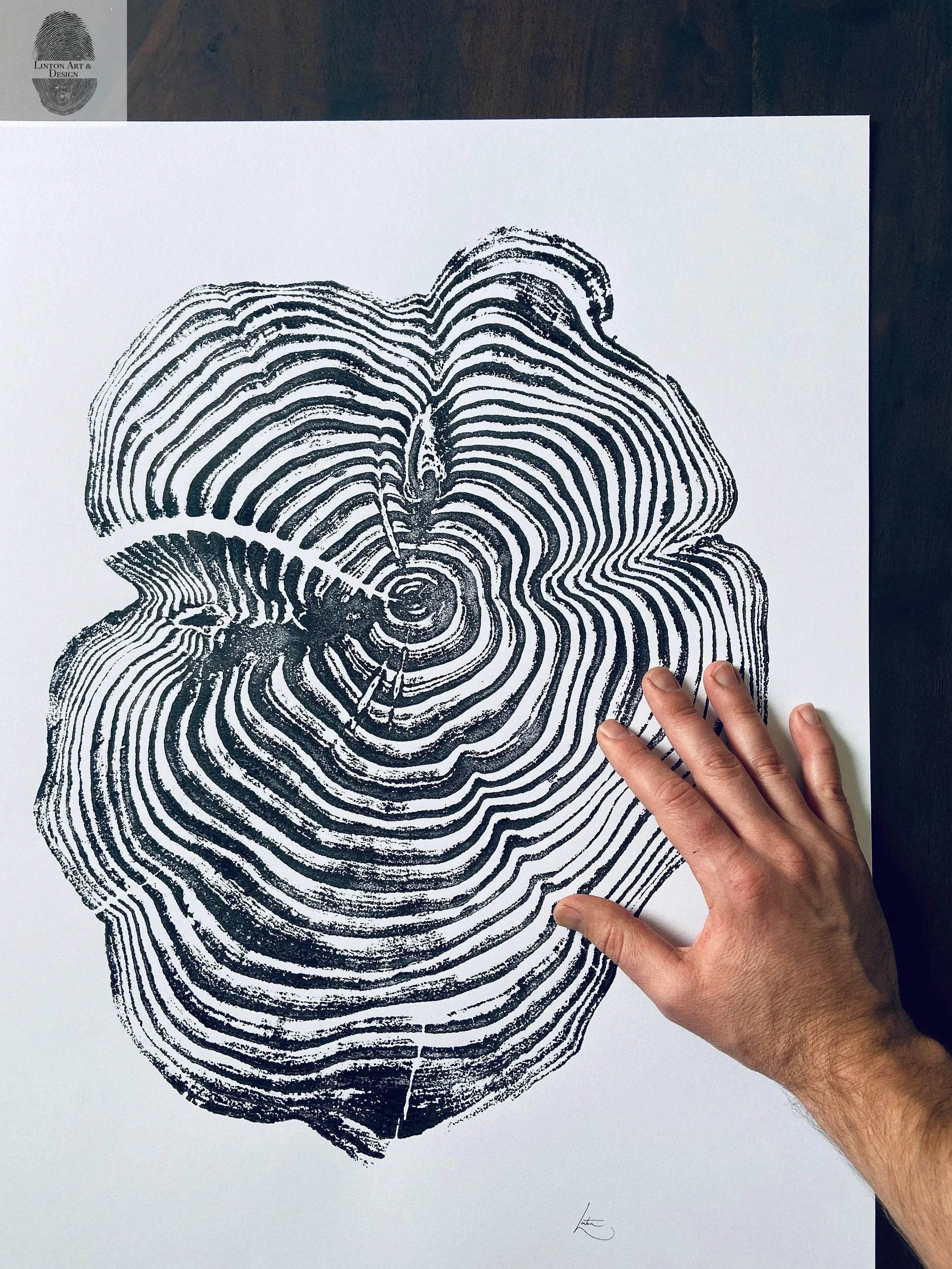 Sequoia National Park and Kings Canyon, California Sequoia - 18x24 print