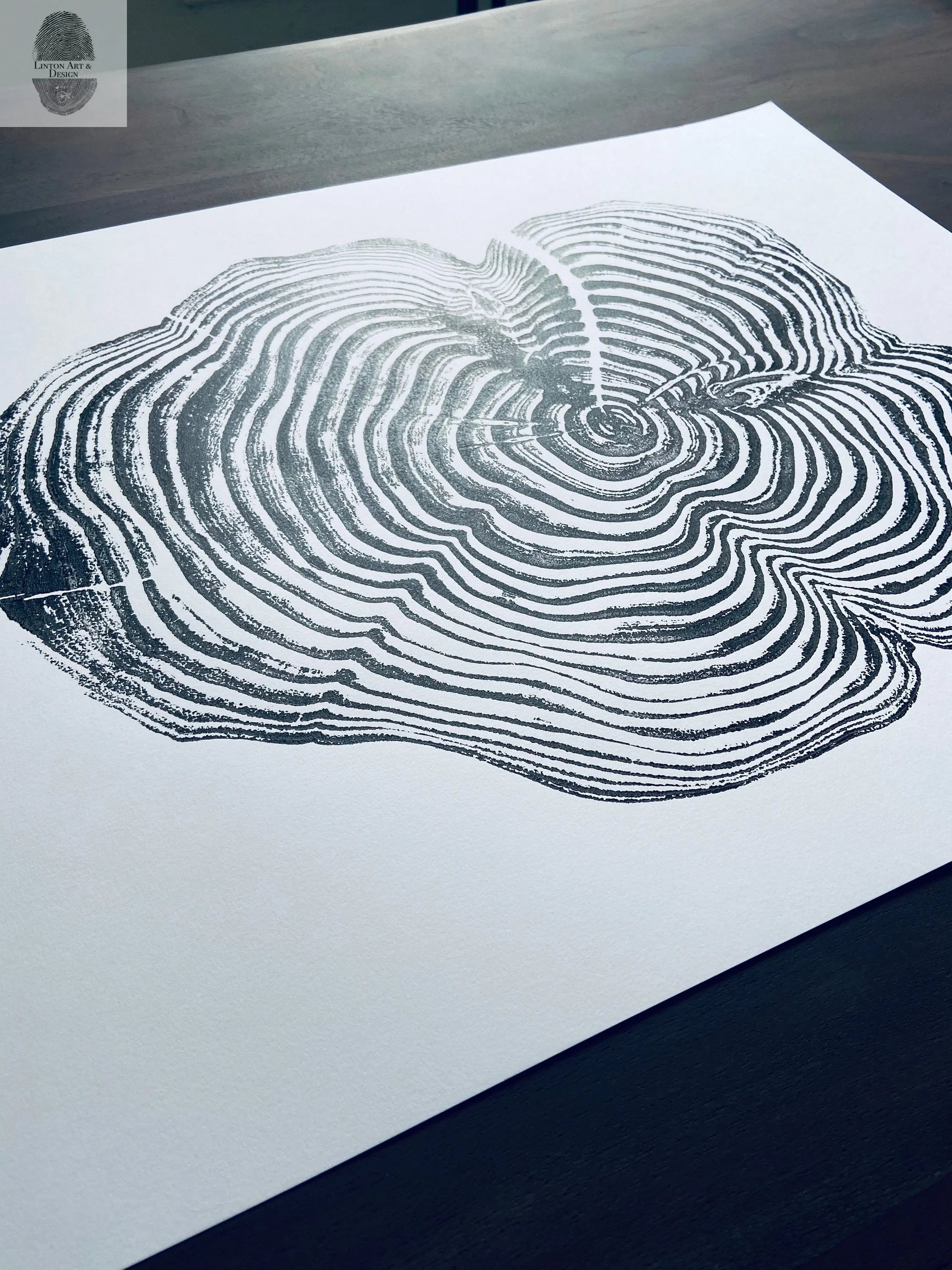 Sequoia National Park and Kings Canyon, California Sequoia - 18x24 print