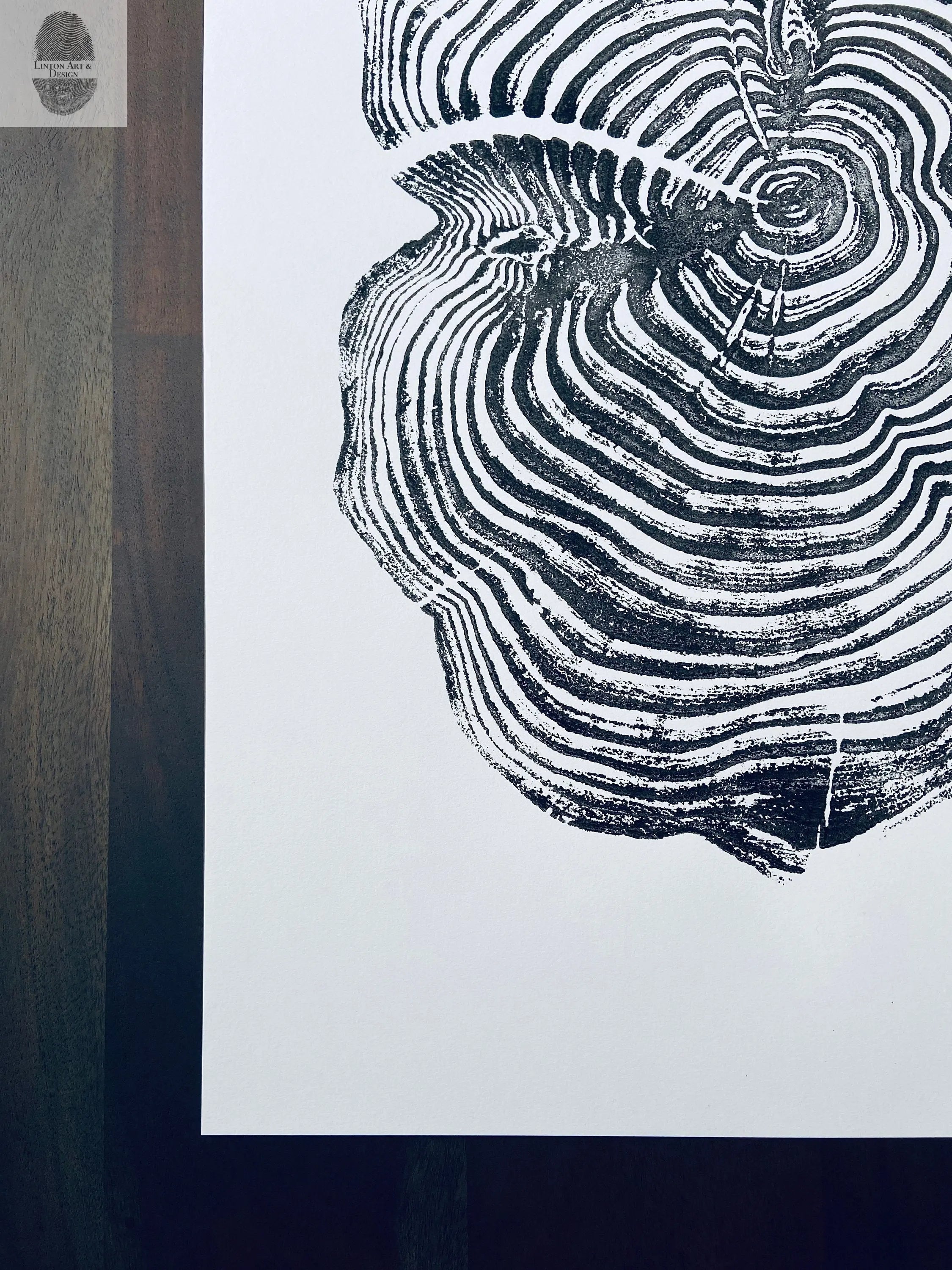 Sequoia National Park and Kings Canyon, California Sequoia - 18x24 print