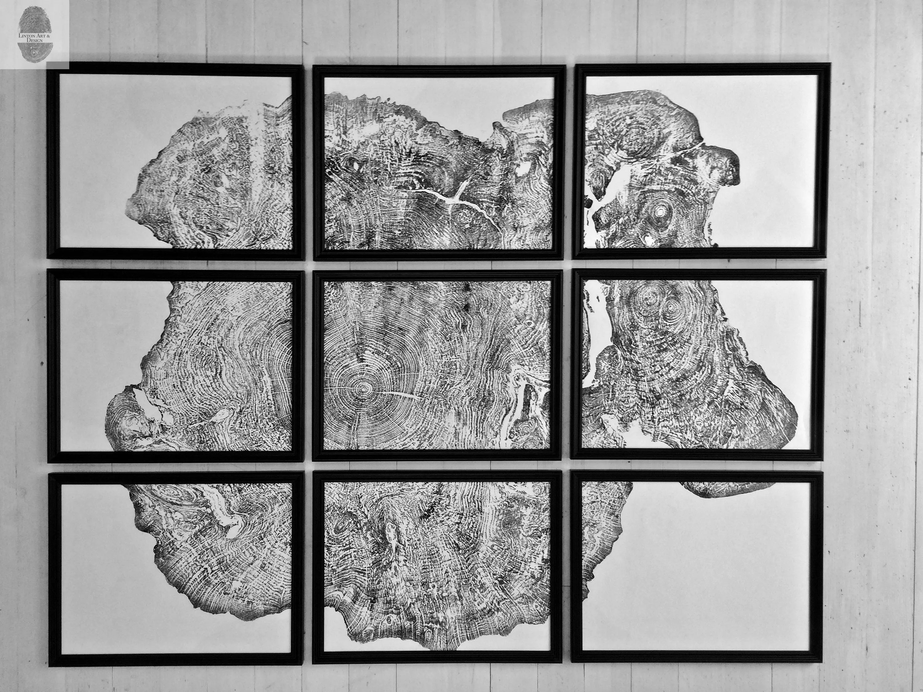 Set of 9 prints, Tree ring art, Maple Tree, Tree ring prints, Gallery wall art, Massachusetts Big Leaf Maple Tree 12x16 each prints