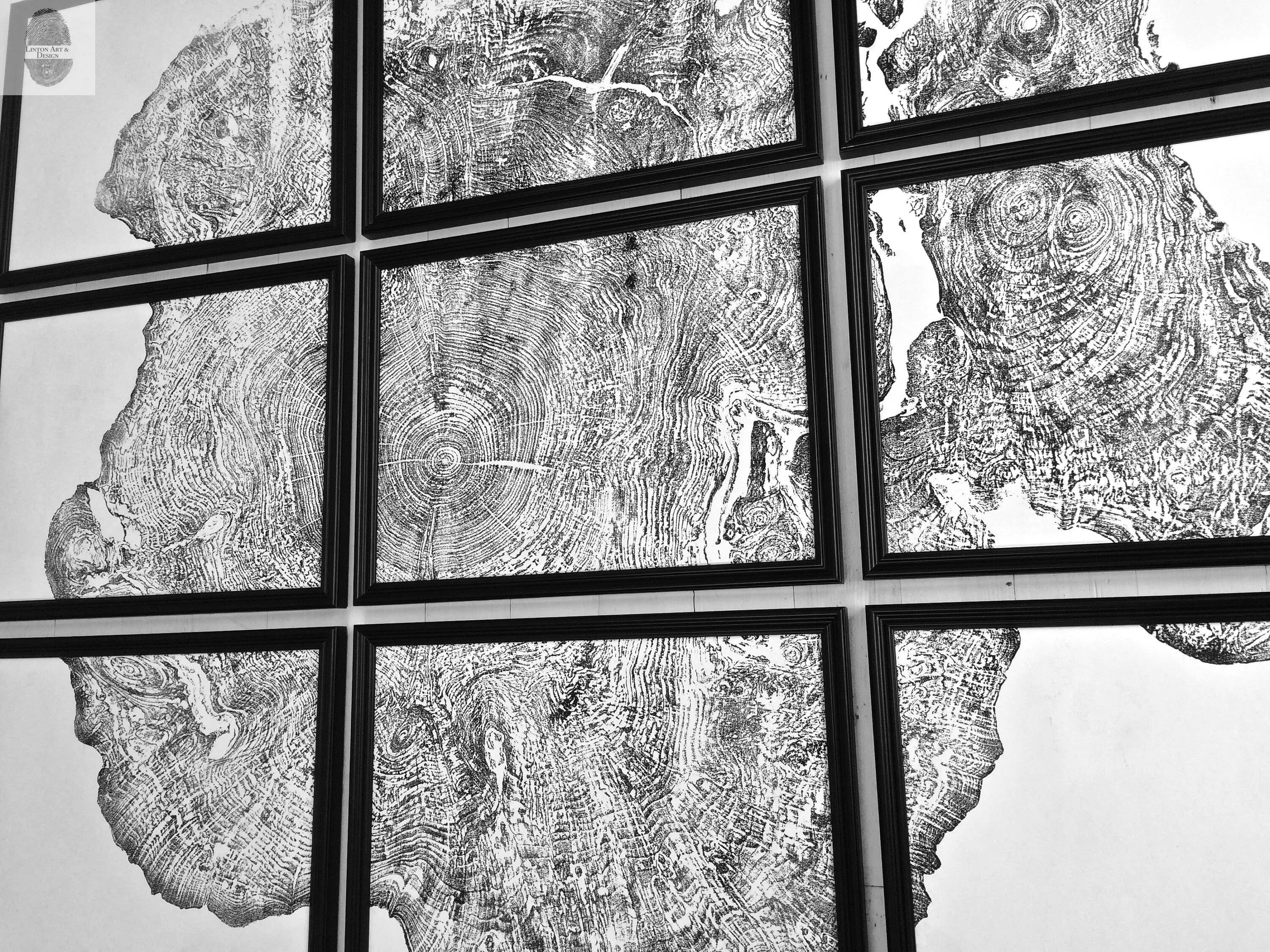 Set of 9 prints, Tree ring art, Maple Tree, Tree ring prints, Gallery wall art, Massachusetts Big Leaf Maple Tree 12x16 each prints