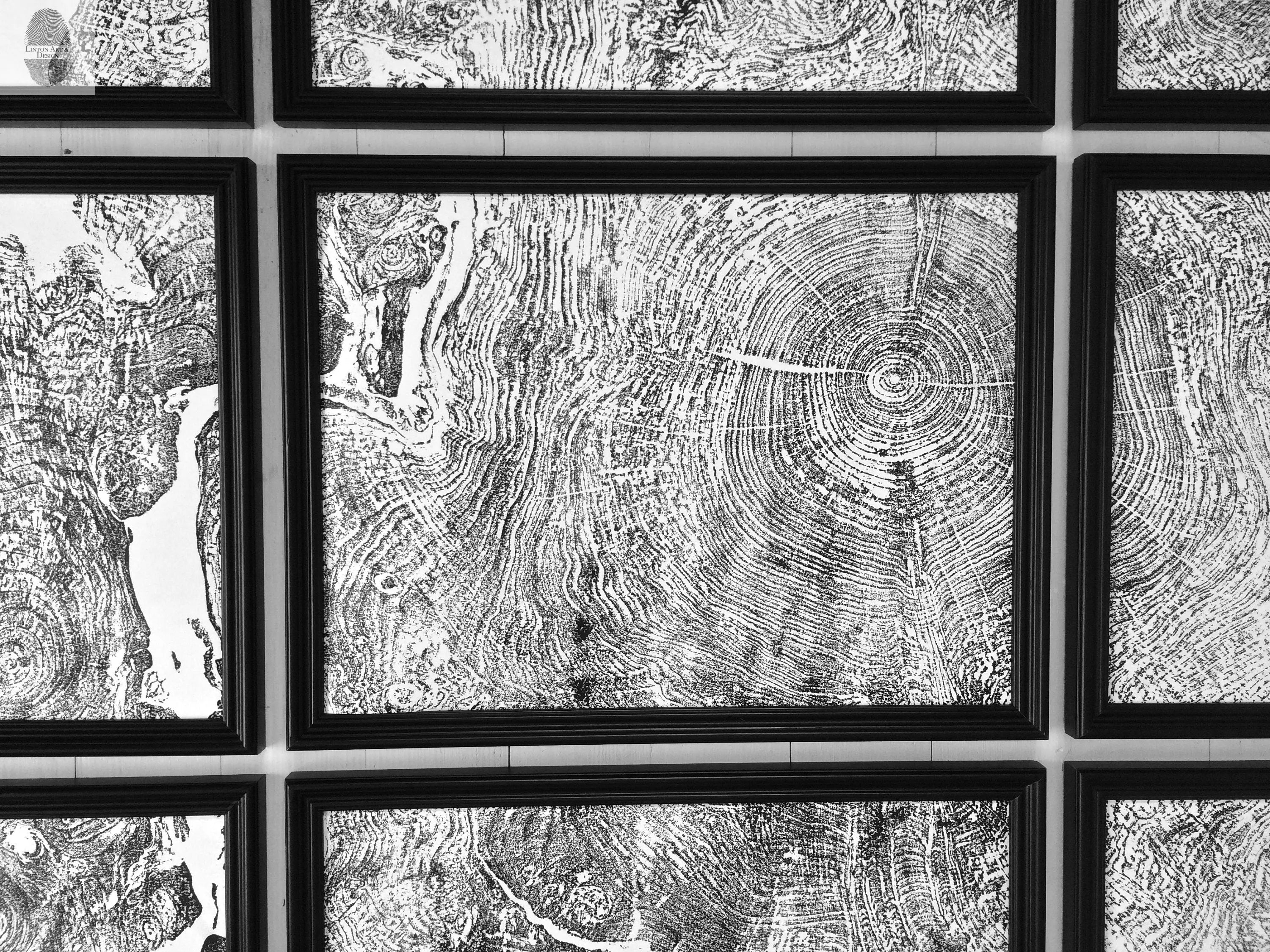 Set of 9 prints, Tree ring art, Maple Tree, Tree ring prints, Gallery wall art, Massachusetts Big Leaf Maple Tree 12x16 each prints