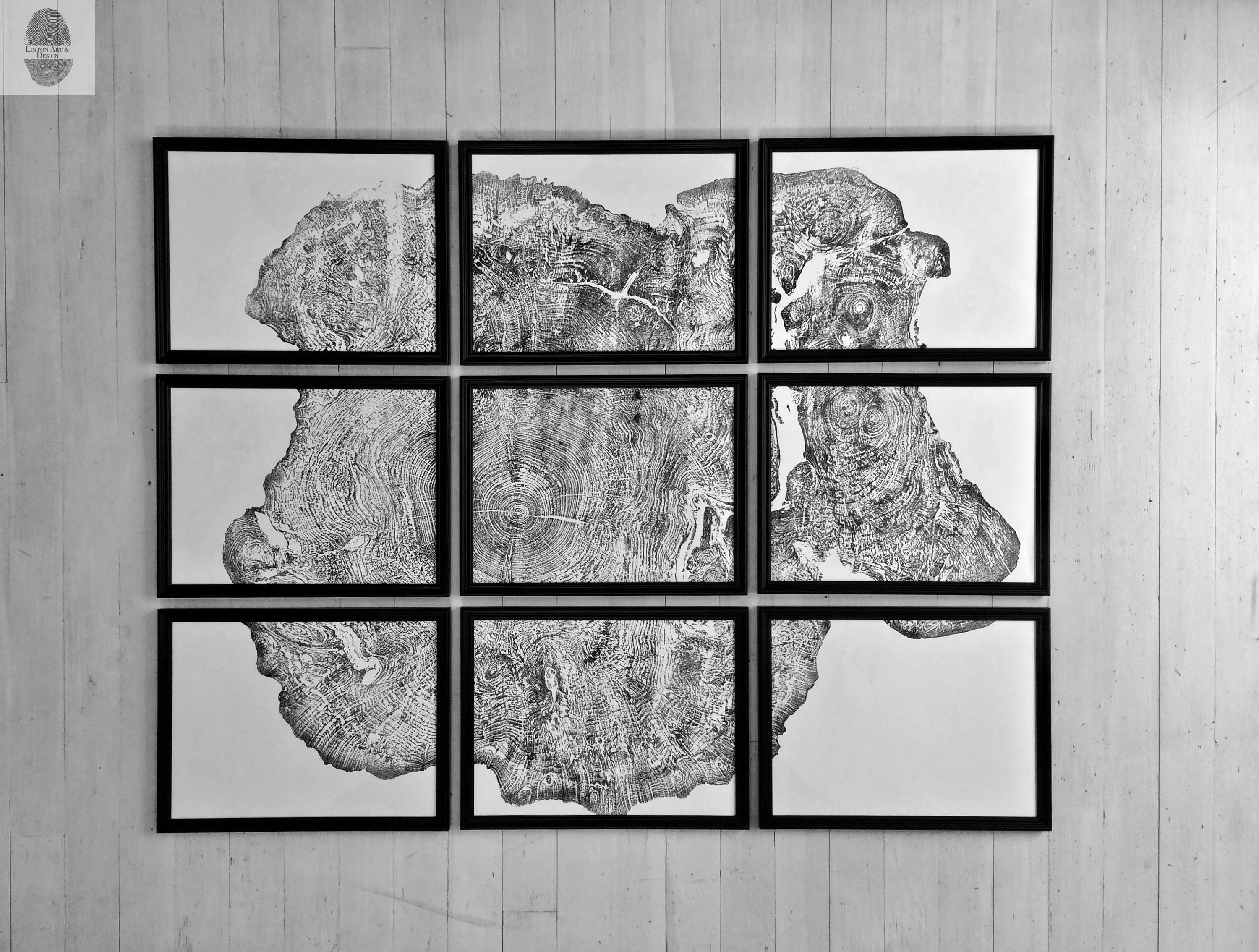 Set of 9 prints, Tree ring art, Maple Tree, Tree ring prints, Gallery wall art, Massachusetts Big Leaf Maple Tree 12x16 each prints