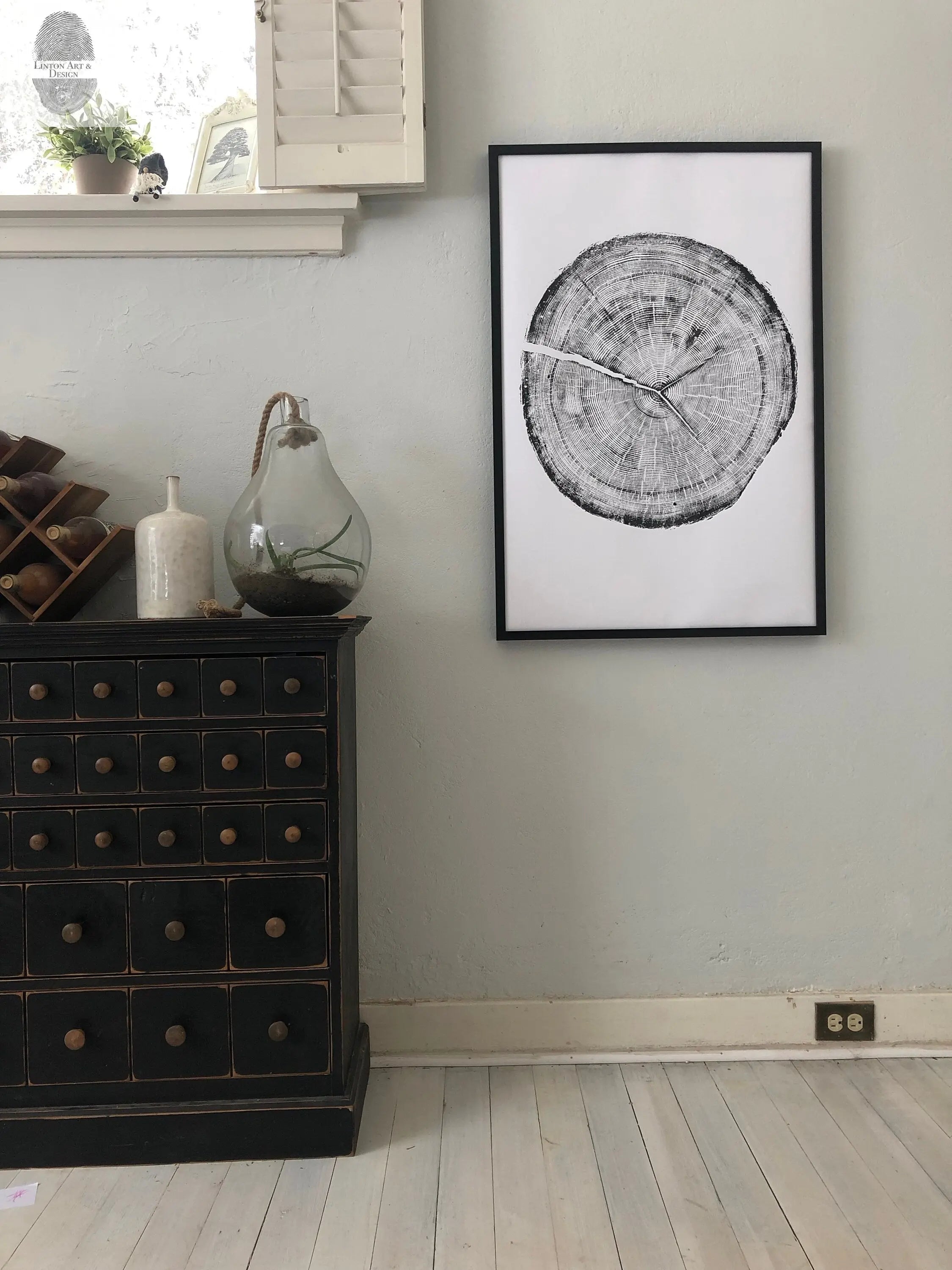 Snowbird Ski Resort, Cottonwood Canyon, Utah Douglas Fir- 24x36 print