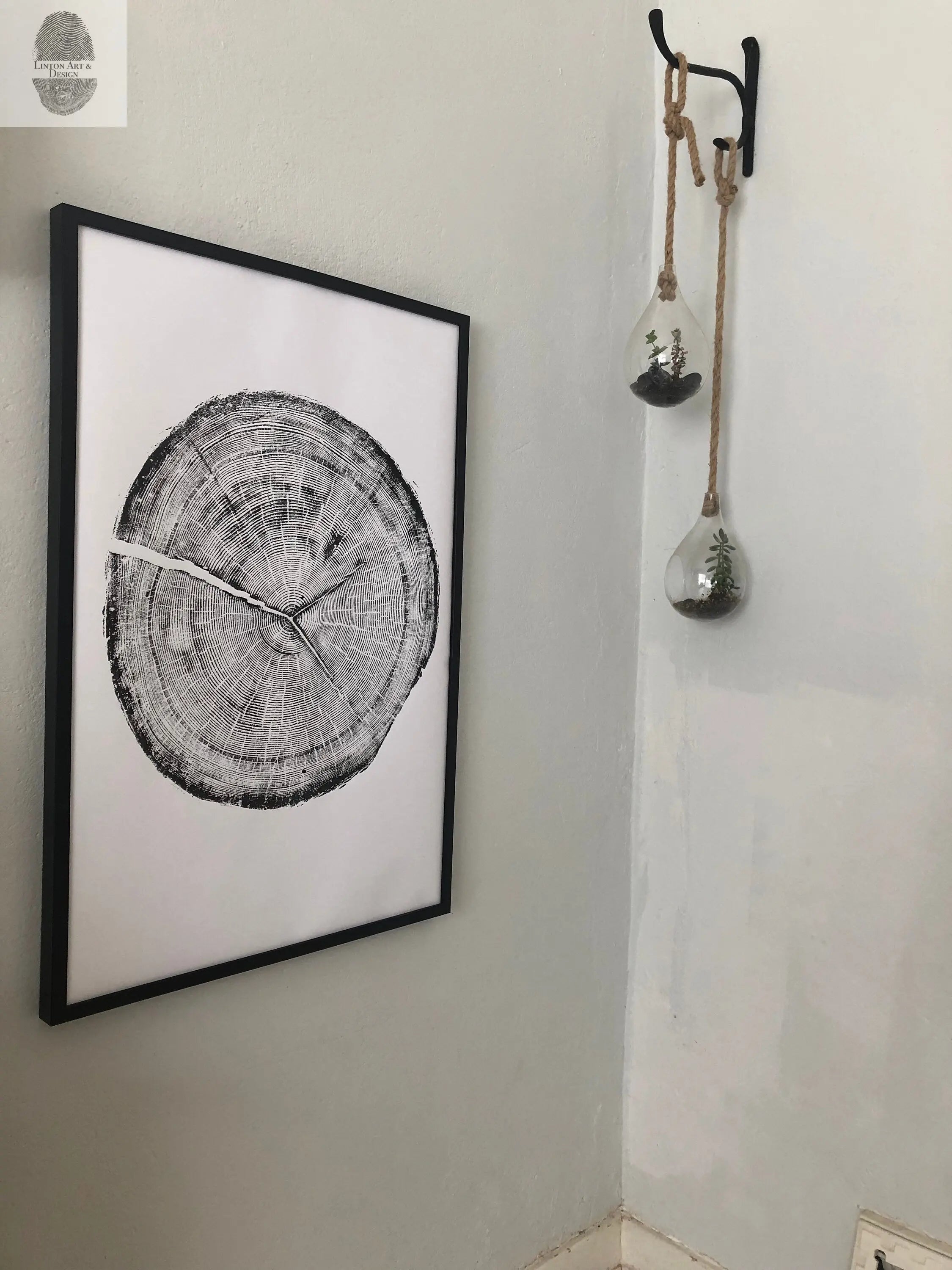 Snowbird Ski Resort, Cottonwood Canyon, Utah Douglas Fir- 24x36 print