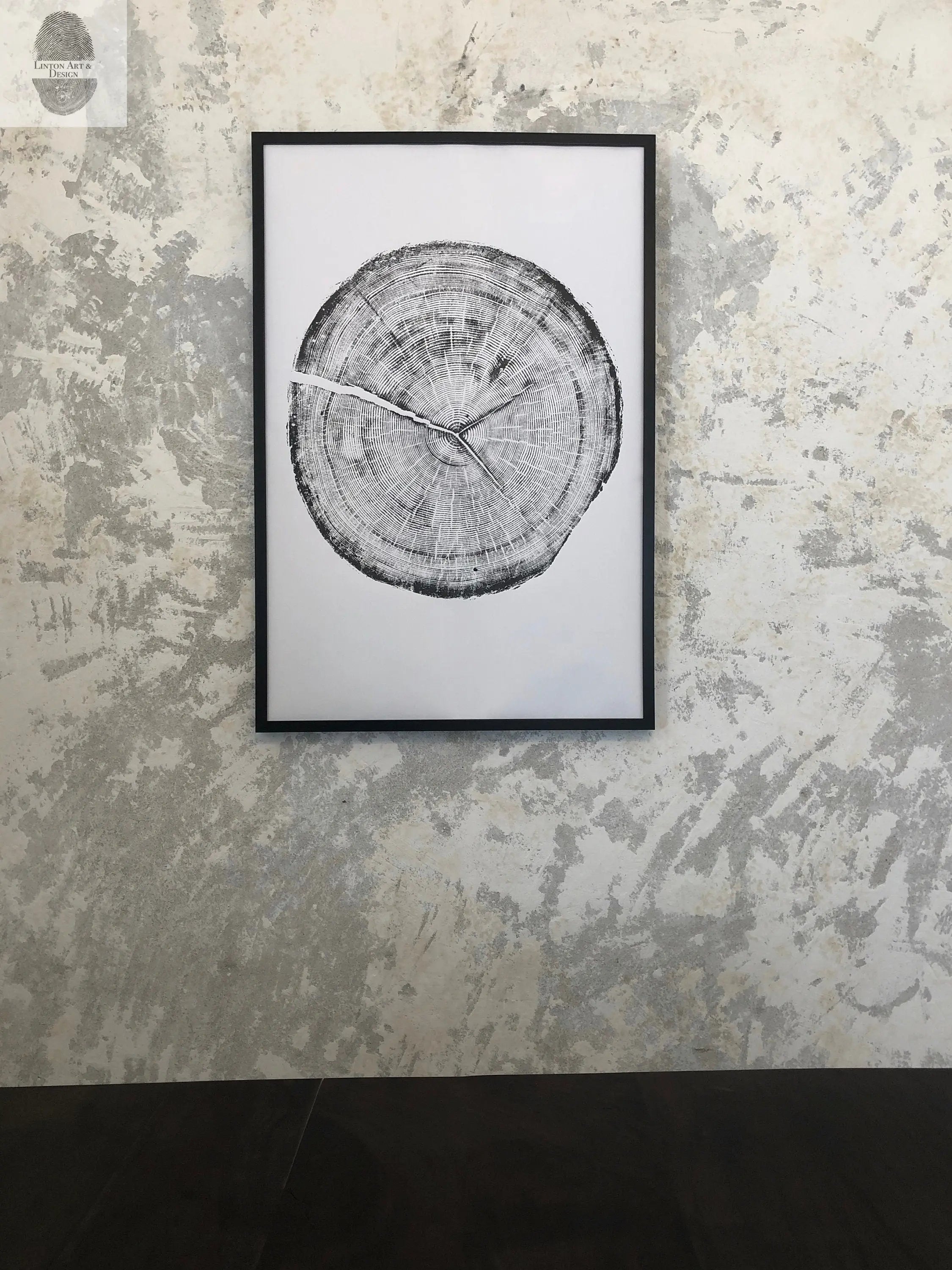 Snowbird Ski Resort, Cottonwood Canyon, Utah Douglas Fir- 24x36 print