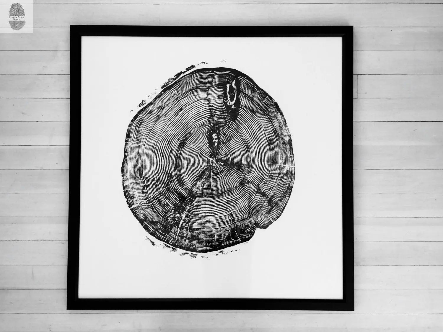 Sundance Canyon, Utah, White Pine - 36x36 Print