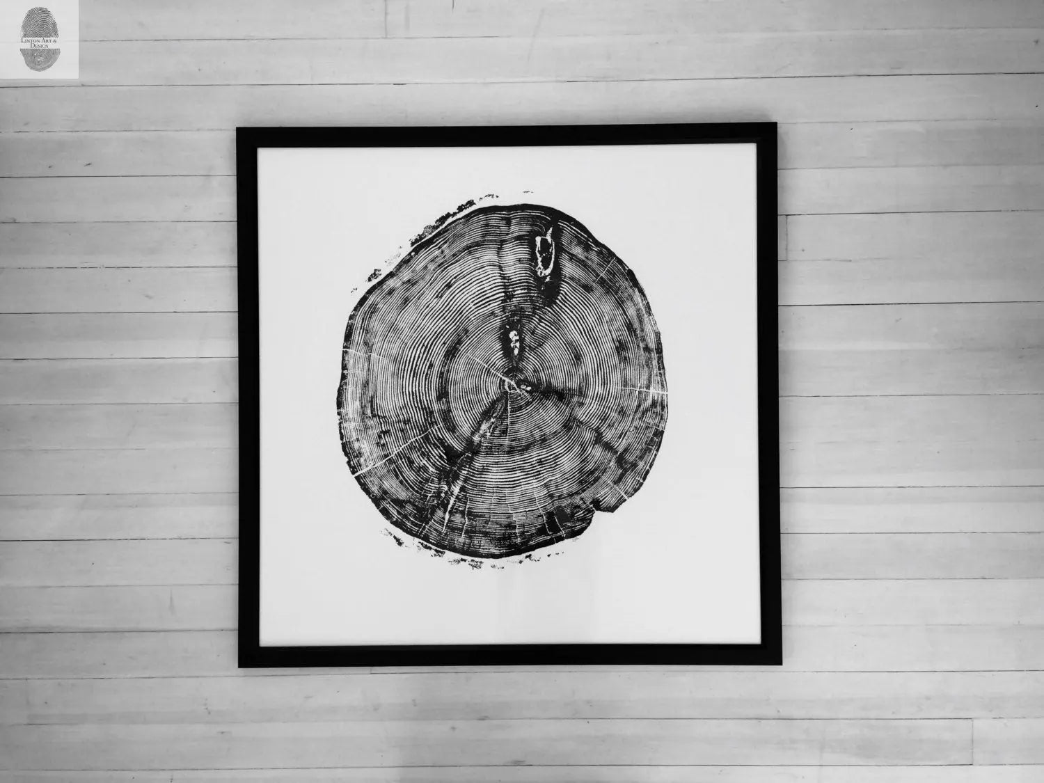 Sundance Canyon, Utah, White Pine - 36x36 Print