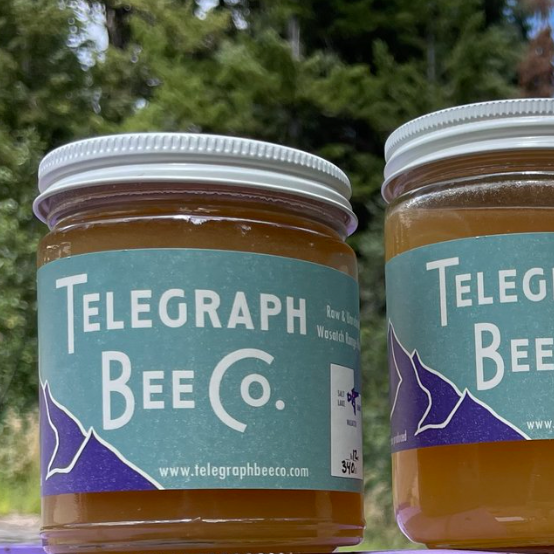 Telegraph Bee Co. Honey