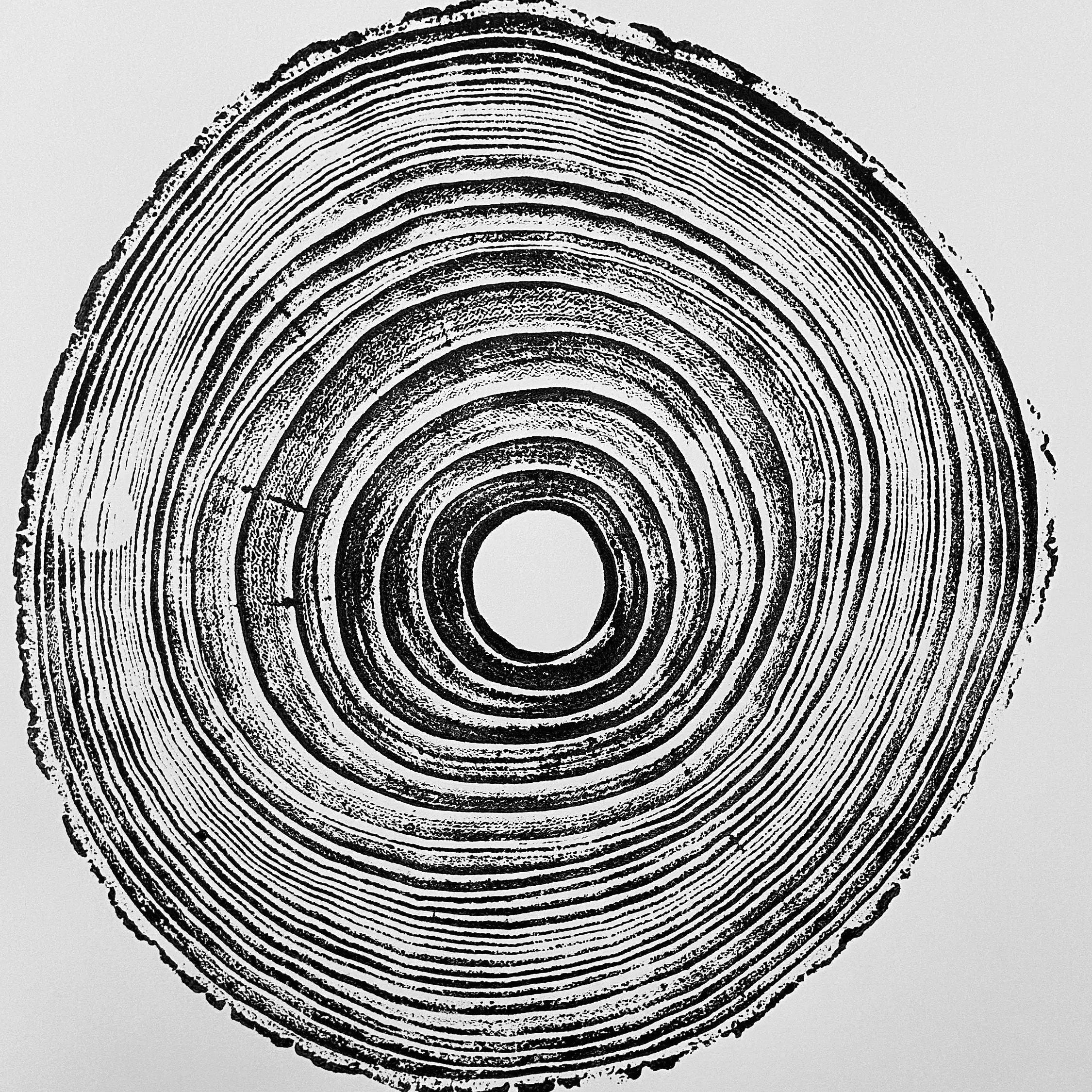 Tennessee Tree Print, Paulownia Empress - 18x24 print