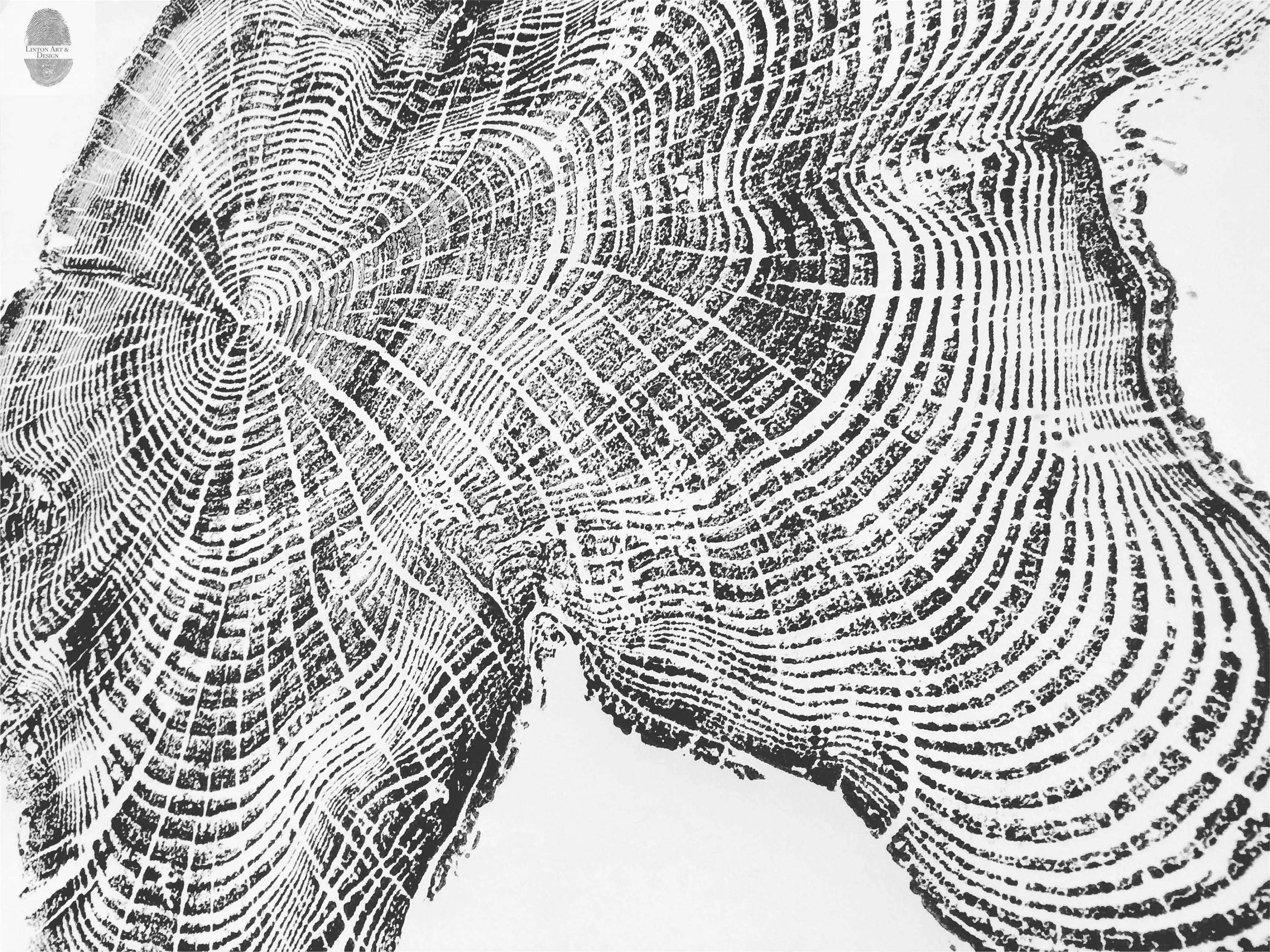 Tillamook, Oregon Coast Driftwood - 24x36 print