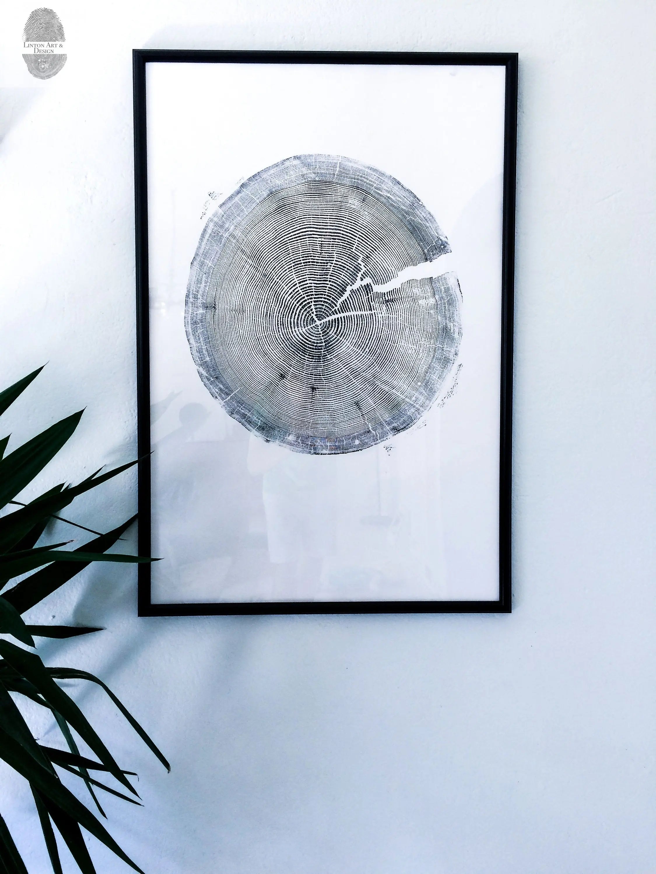 Tree rings Print, Three Panel Wall Art, Woodcut print, Lumber, Tree of Life, Sacred Geometry, Live Edge, Shabby Tree, Each 24x36 inches