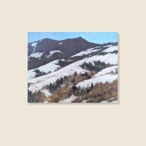 11x14 **CONFIRM MEDIUM, snow covered mountainside, bush and grass poke through the snow, blue sky
