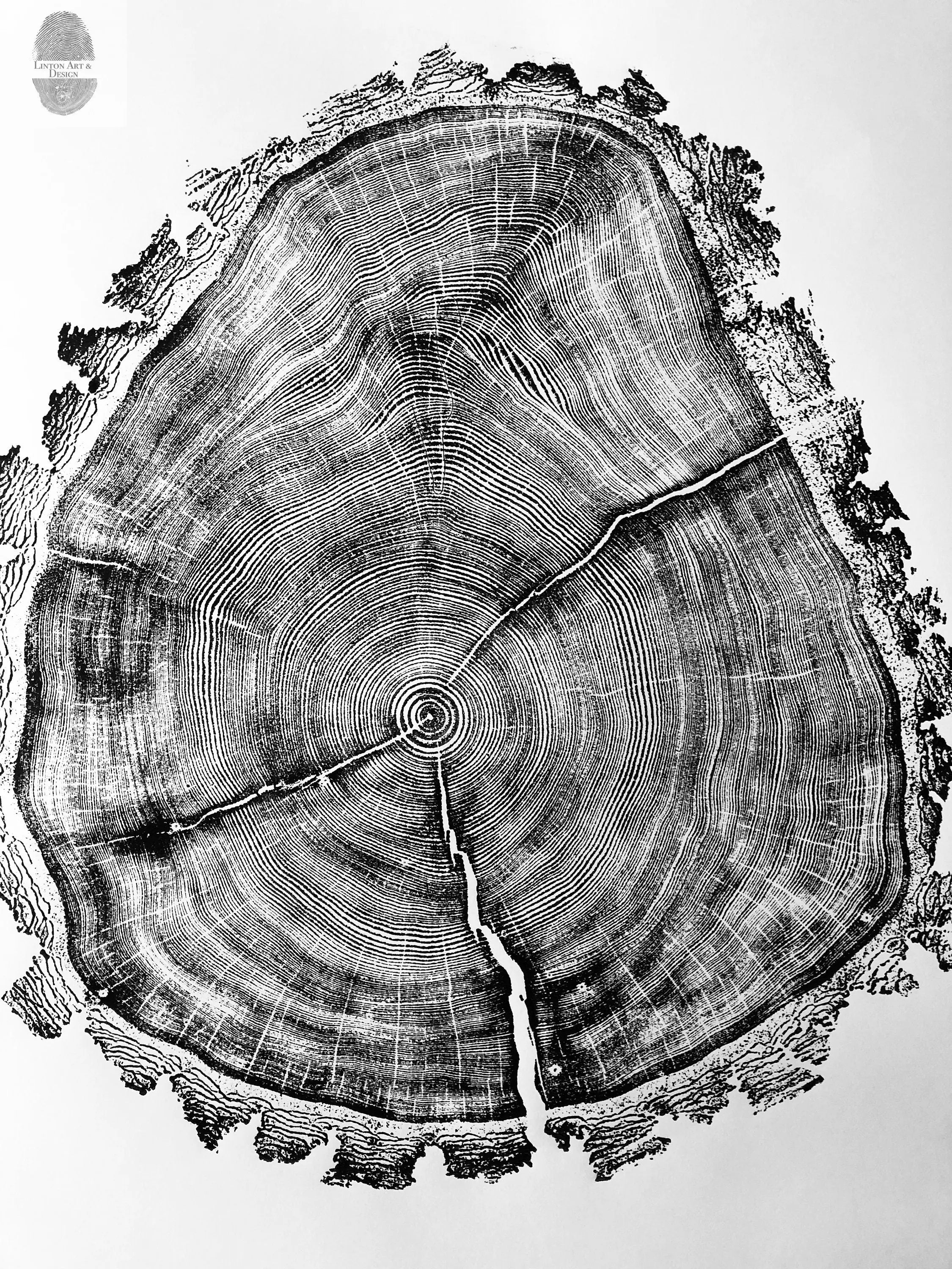 Utah Art, Tree Ring Print, Ski Art, Lumber, Shabby Tree, Wood Slice Wall Art, Natural Wood Slices