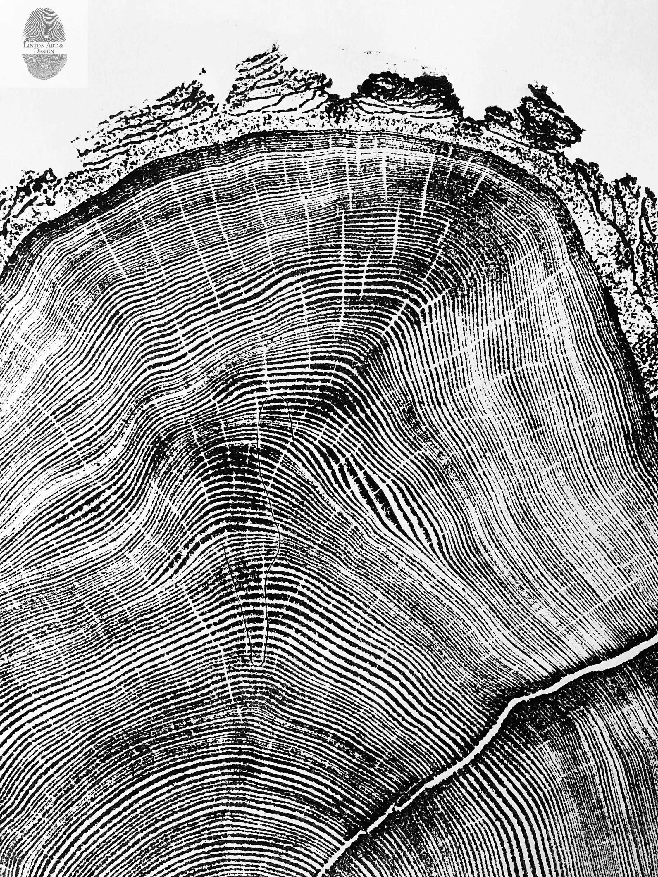 Utah Art, Tree Ring Print, Ski Art, Lumber, Shabby Tree, Wood Slice Wall Art, Natural Wood Slices
