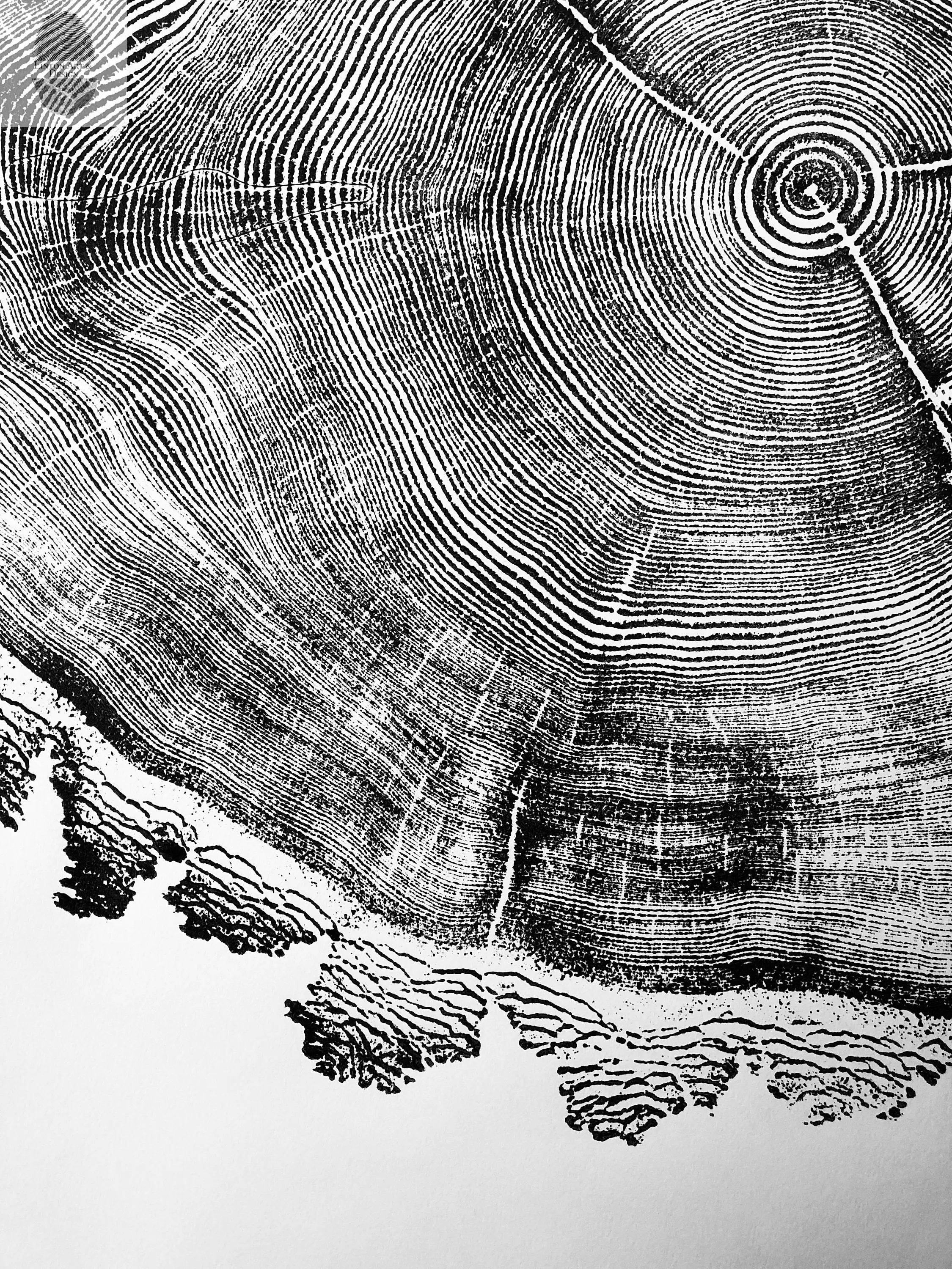 Utah Art, Tree Ring Print, Ski Art, Lumber, Shabby Tree, Wood Slice Wall Art, Natural Wood Slices