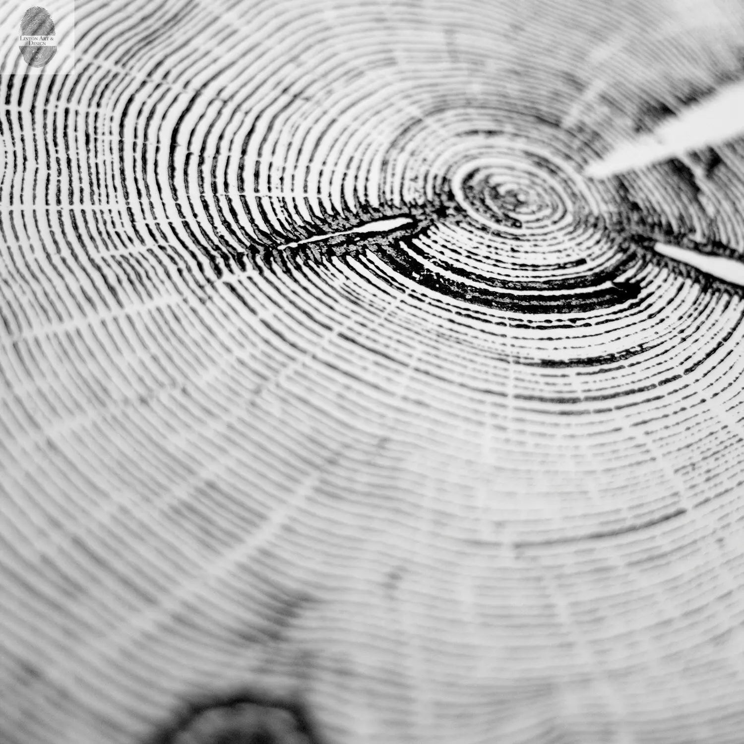 Utah Art, Tree Ring Print, Woodcut print, Woodworker, Ski Art, Snowbird, Wood Slice wall art - 18x24 print