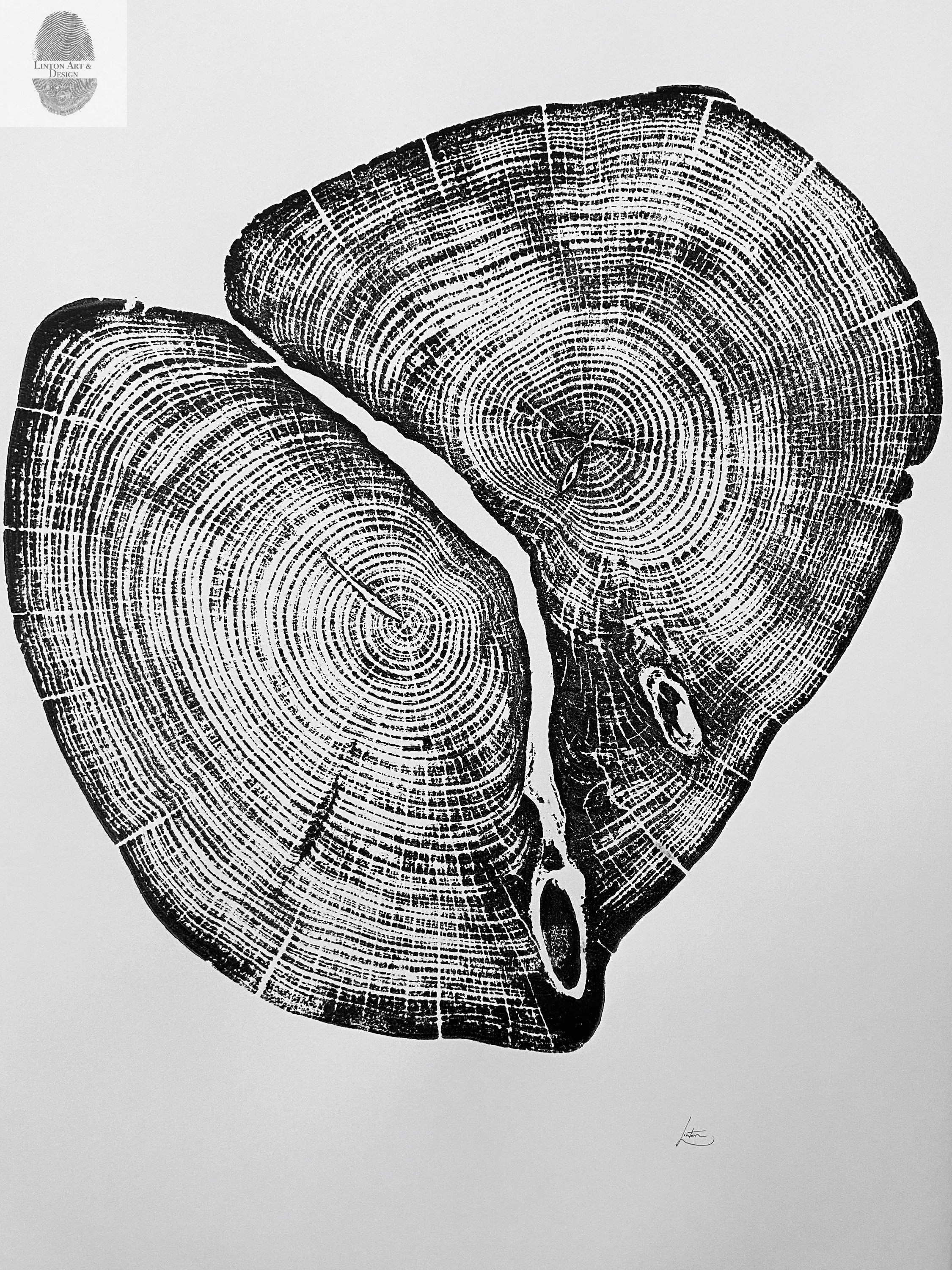 Waco Texas Cedar - 18x24 print