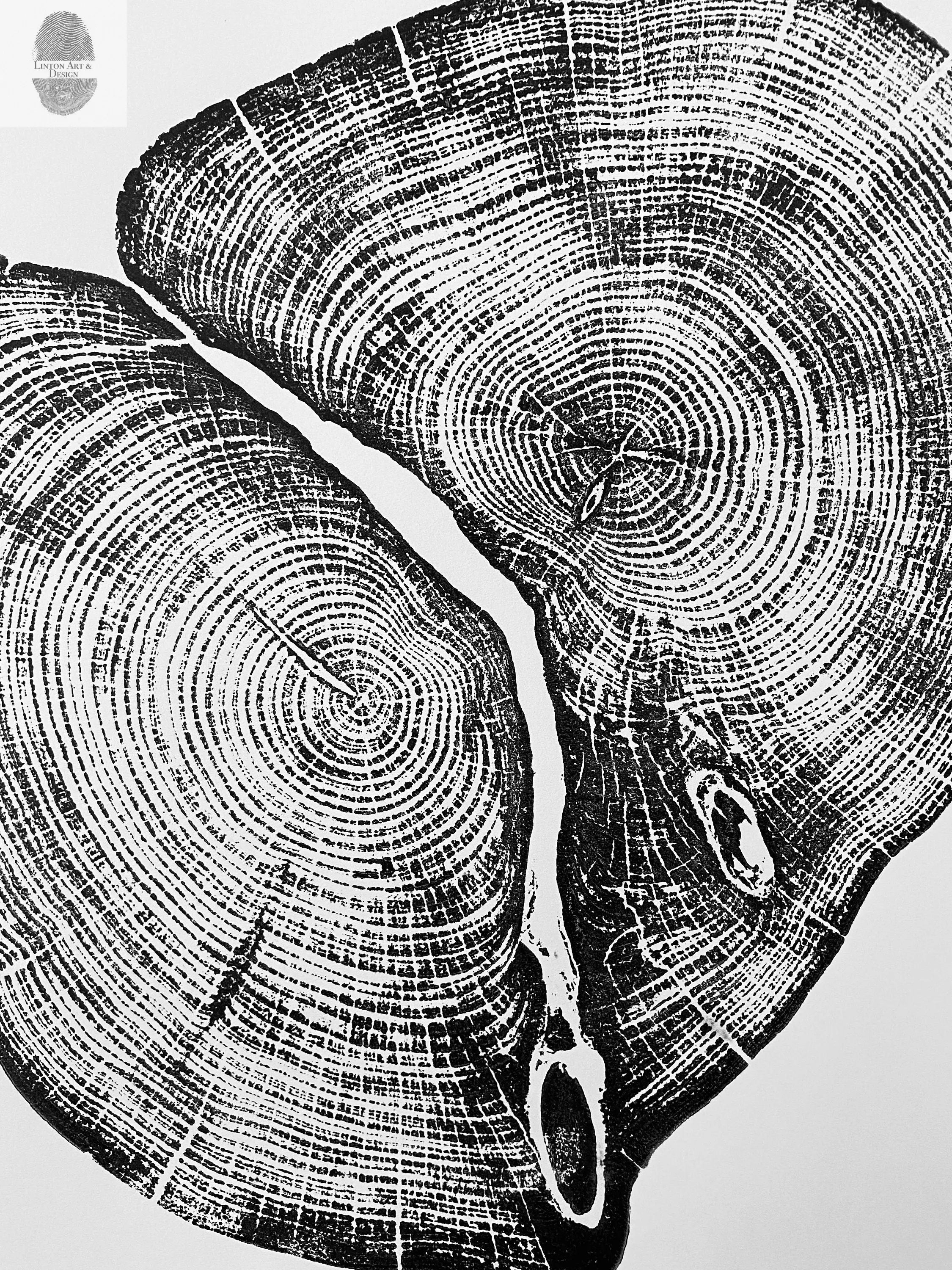 Waco Texas Cedar - 18x24 print