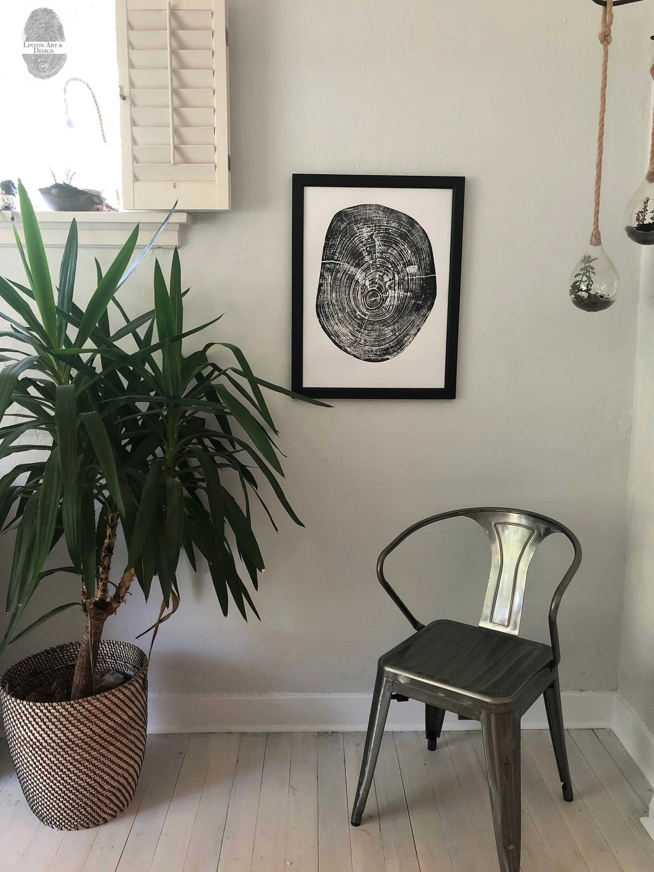 Waco, Texas Pecan - 18x24 print