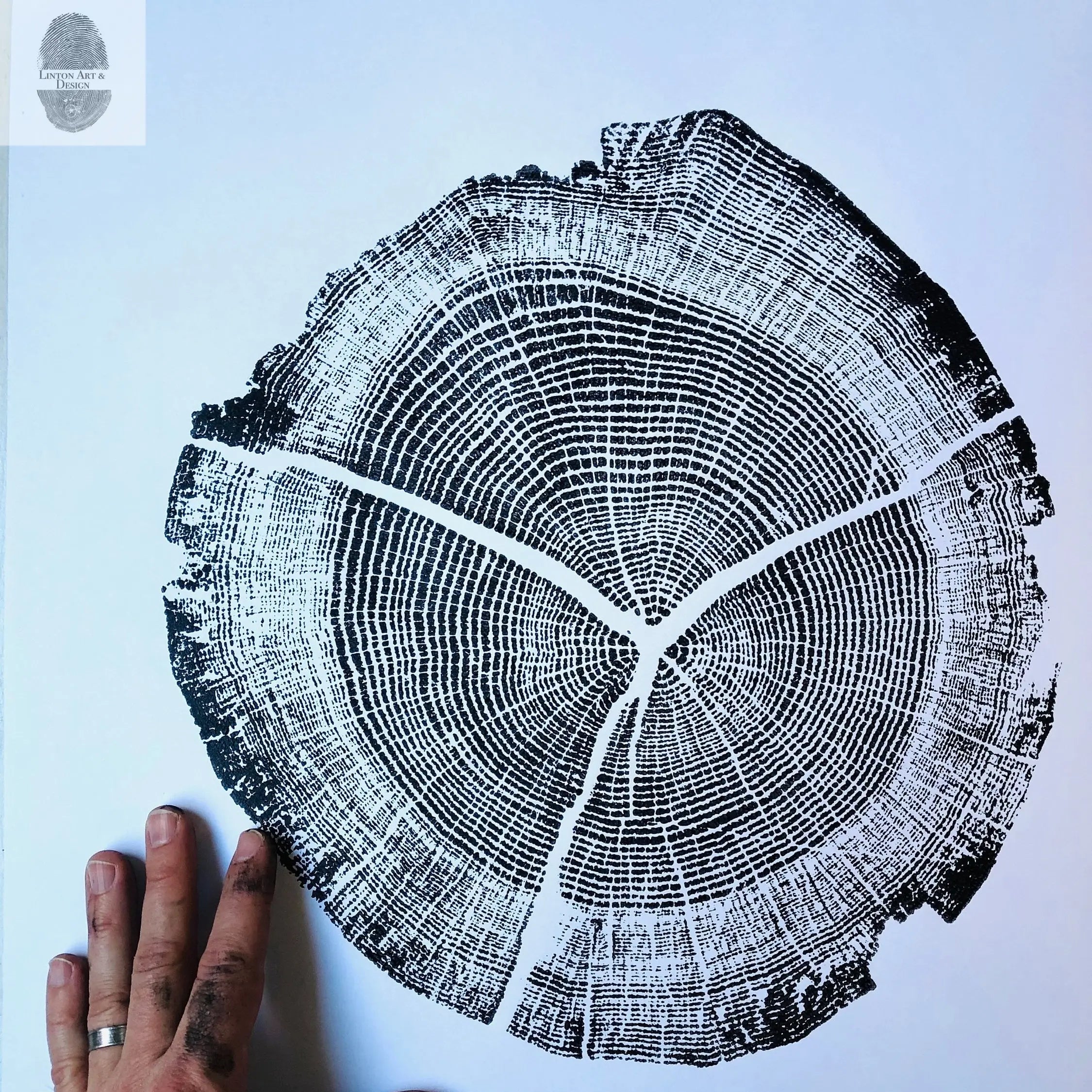 Walden Pond, Massachusetts Oak - 18x24 prin