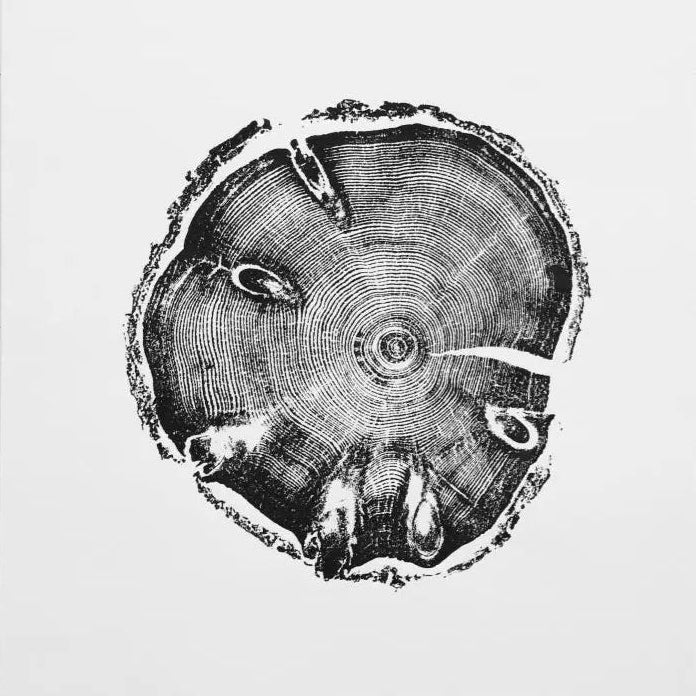 Wasatch Mountains, Utah Pine - 18x24 Print