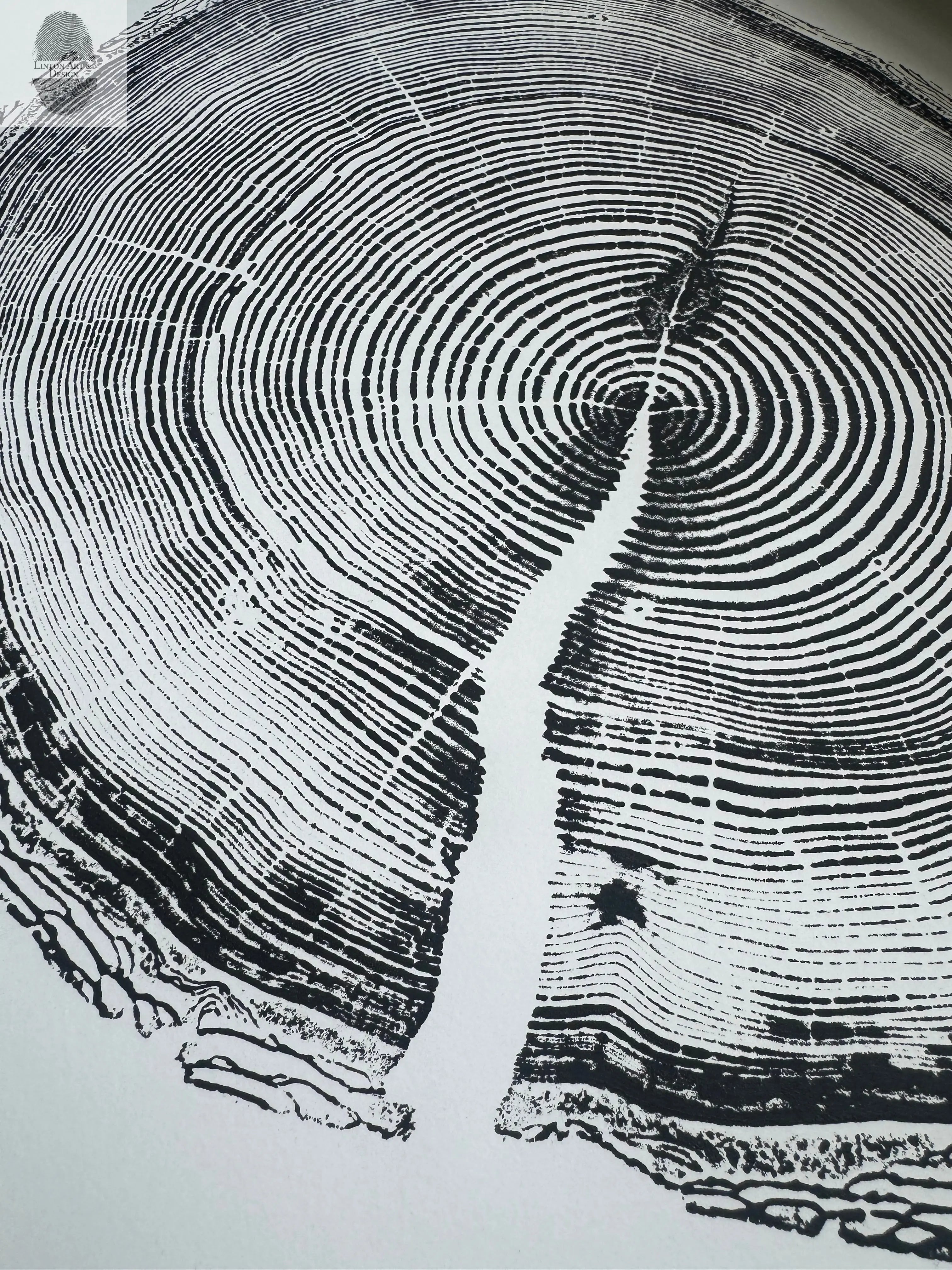 White Pine Tree Ring Impression – Taylor County, WI – 18x24 Signed Artwork