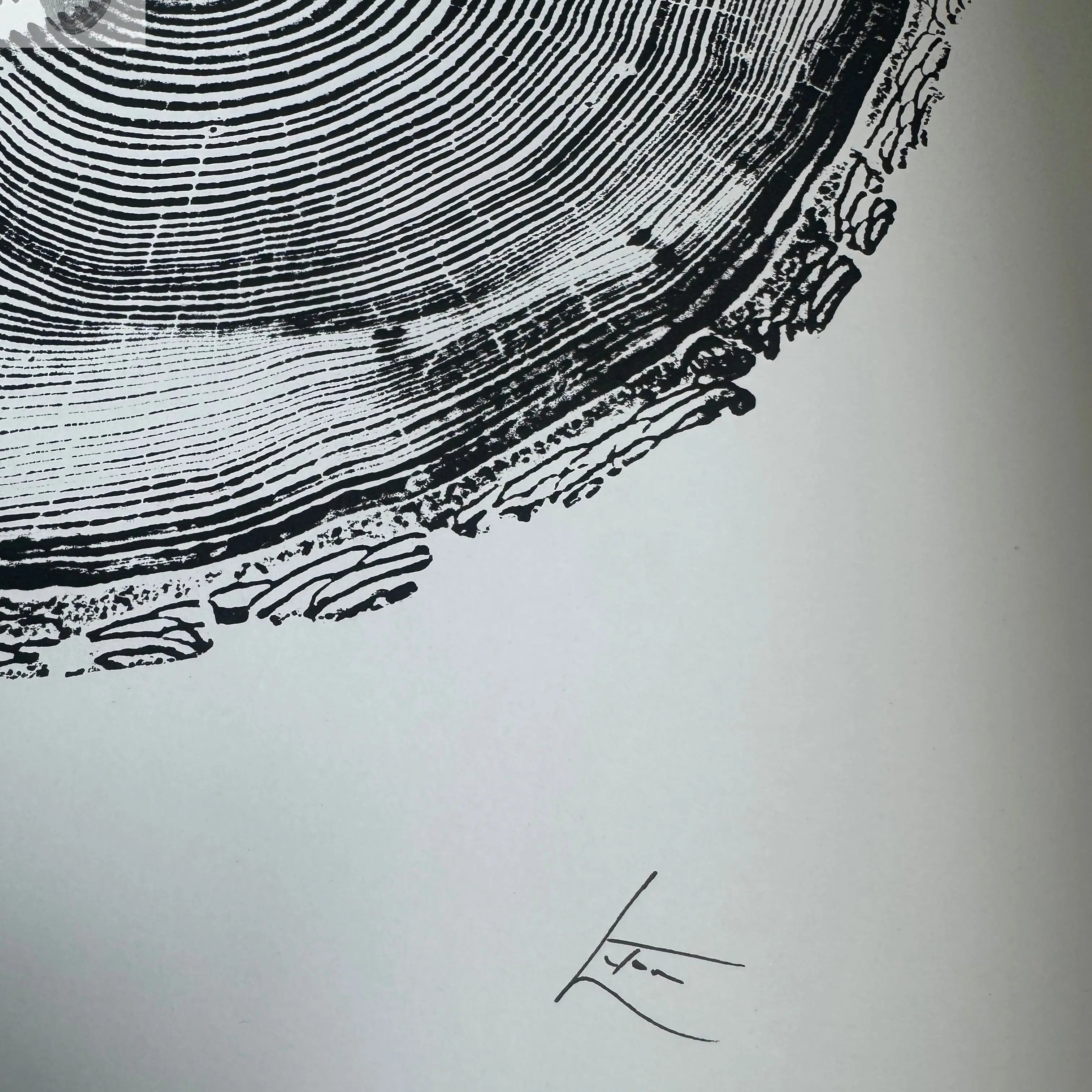 White Pine Tree Ring Impression – Taylor County, WI – 18x24 Signed Artwork