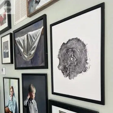 Williamsburg, Virginia Oak - 18x24 inch print