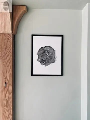 Williamsburg, Virginia Oak - 18x24 inch print