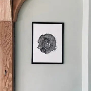 Williamsburg, Virginia Oak - 18x24 inch print