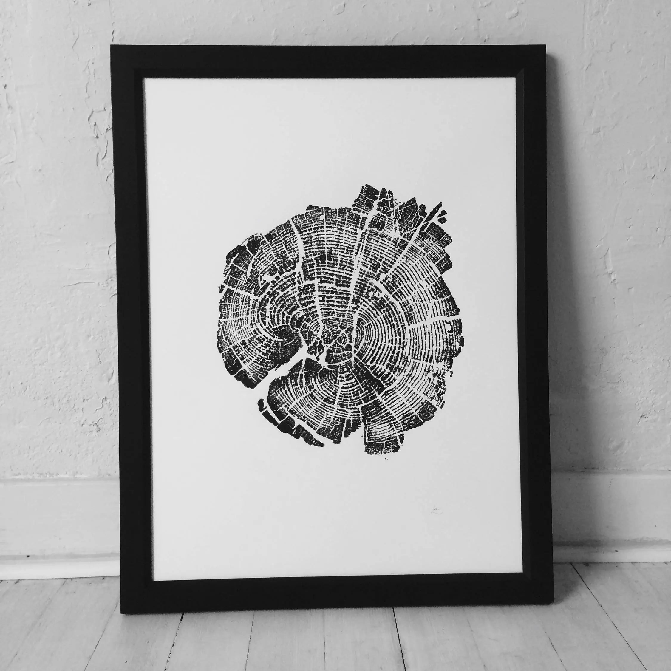 Yellowstone Pine - 18x24 print