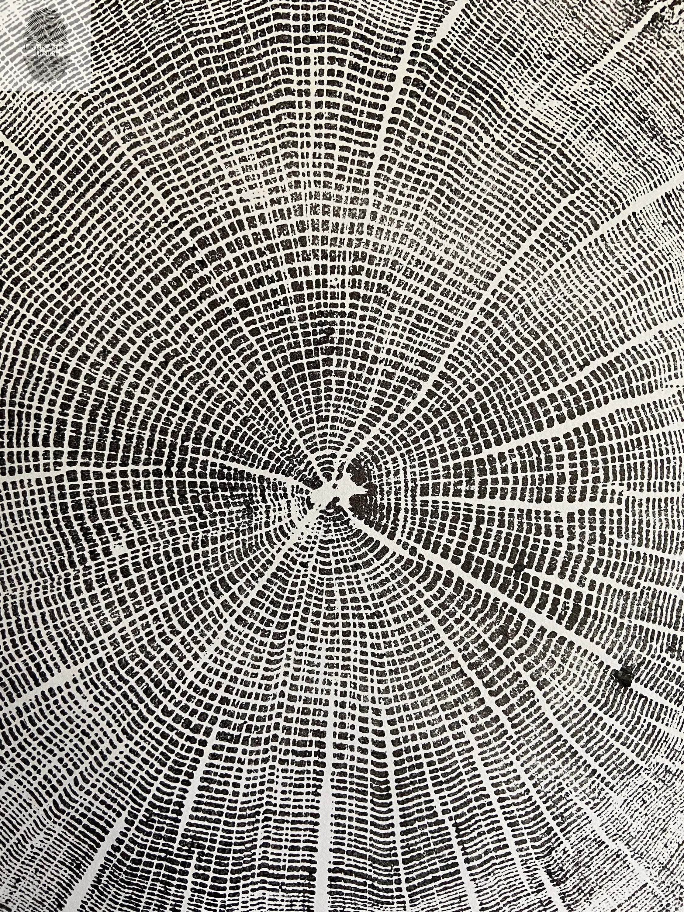 York, Maine Oak - 18x24 print