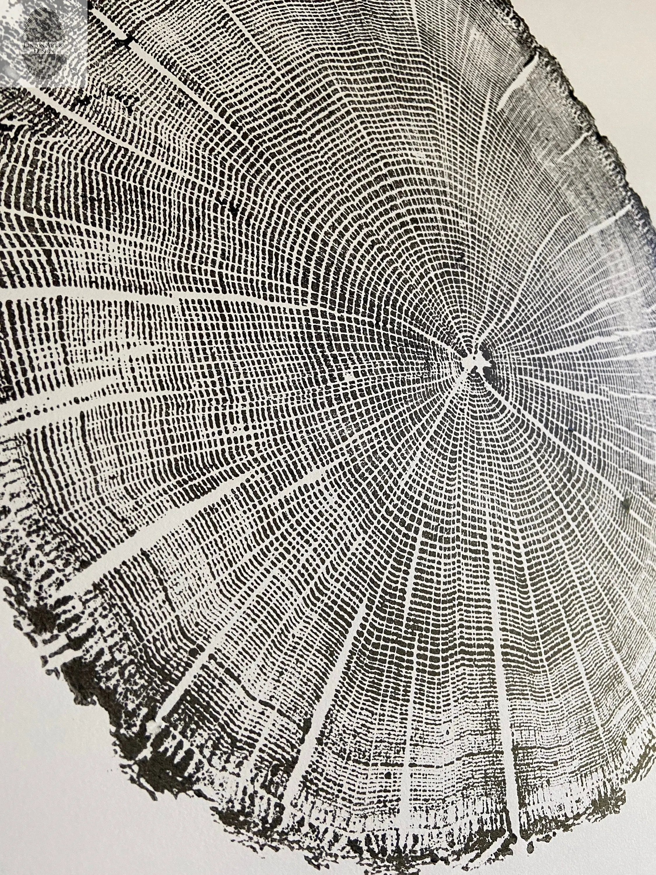 York, Maine Oak - 18x24 print