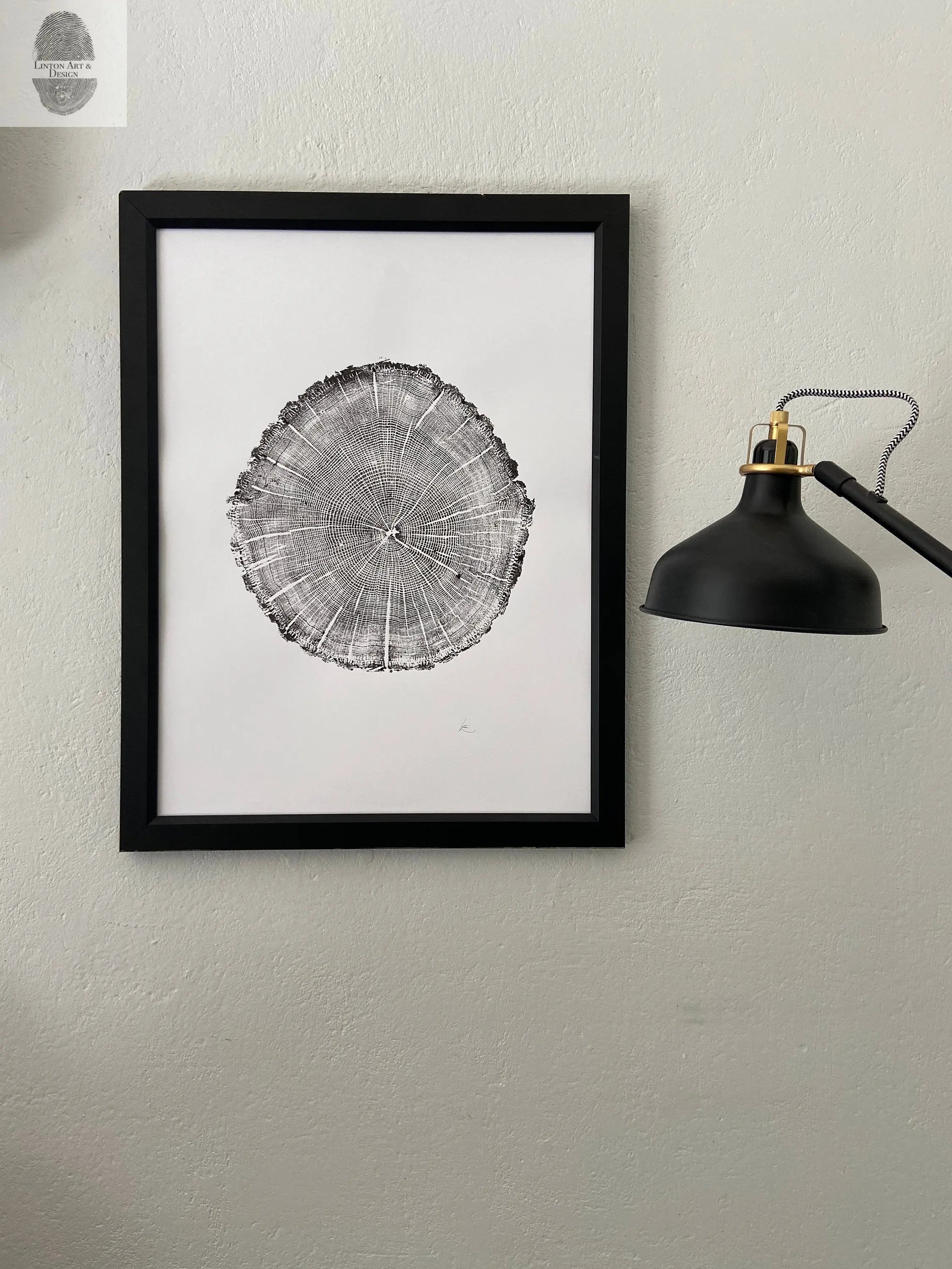 York, Maine Oak - 18x24 print