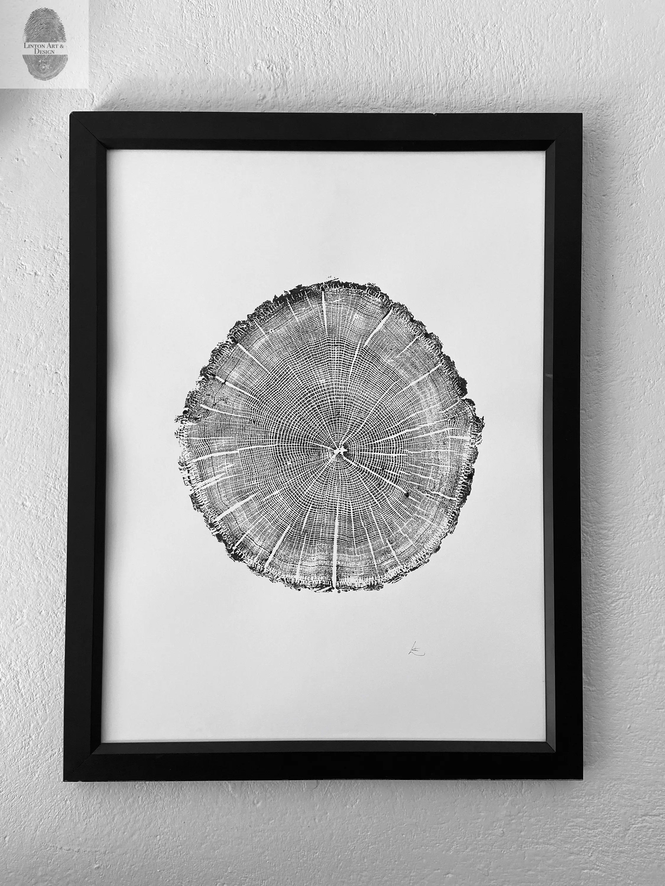 York, Maine Oak - 18x24 print